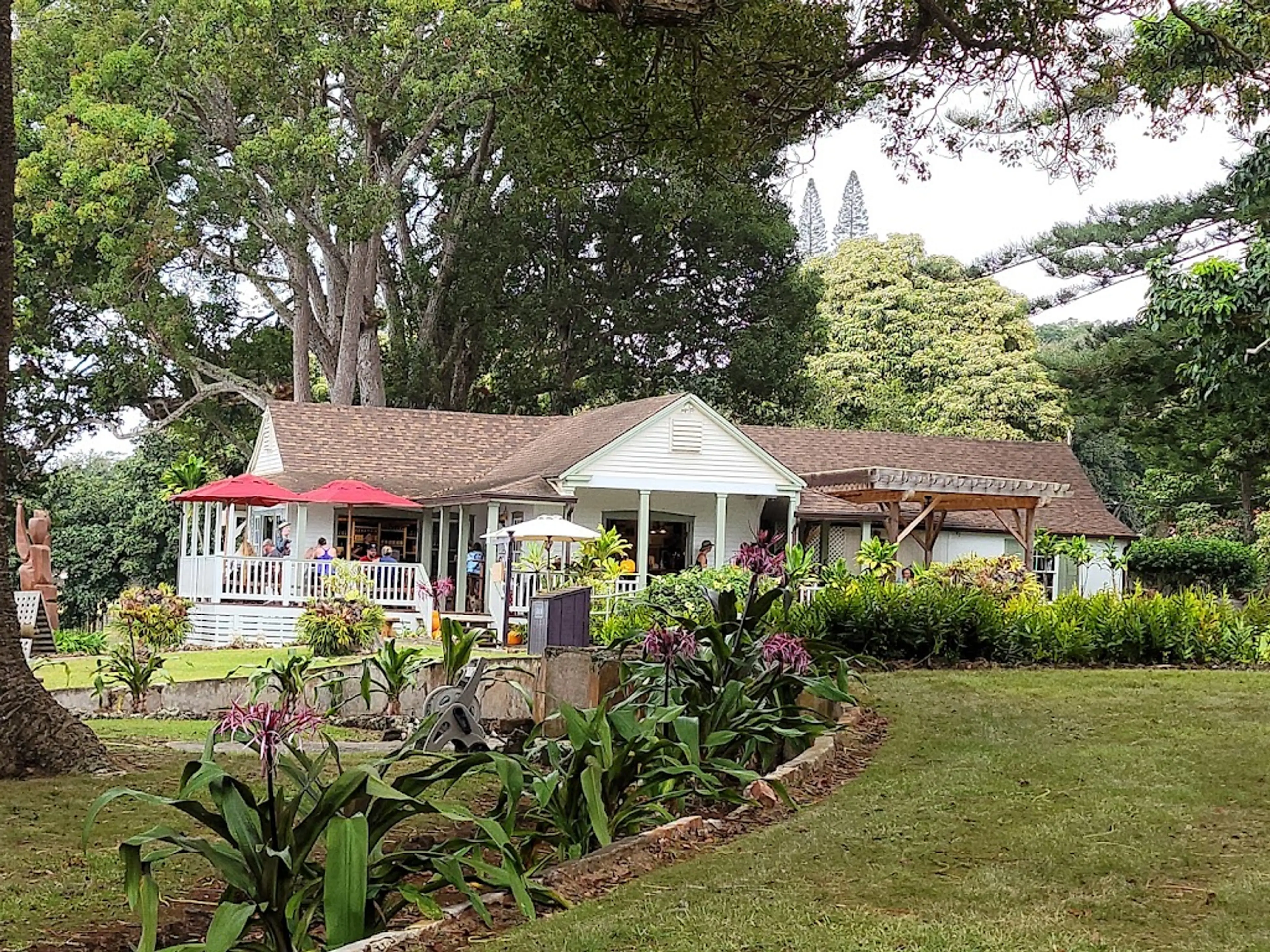 Maui Wine Vineyard