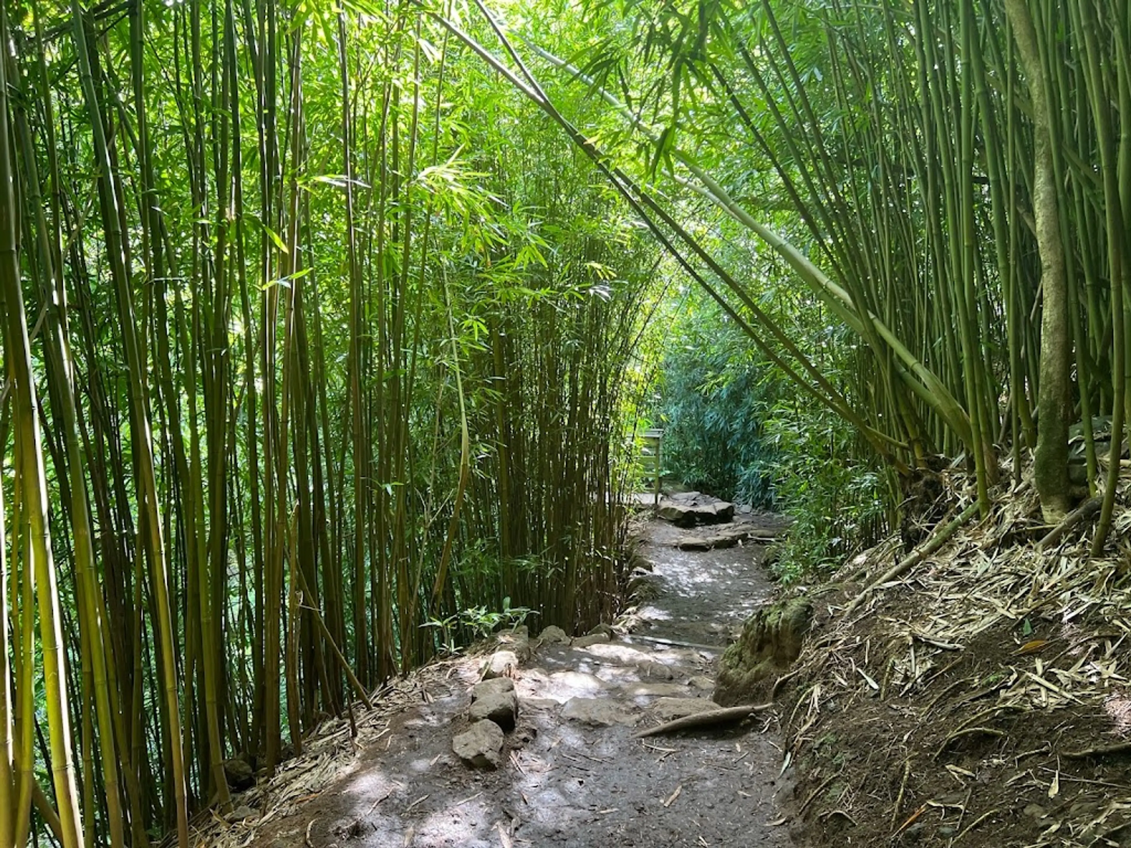 Pipiwai Trail