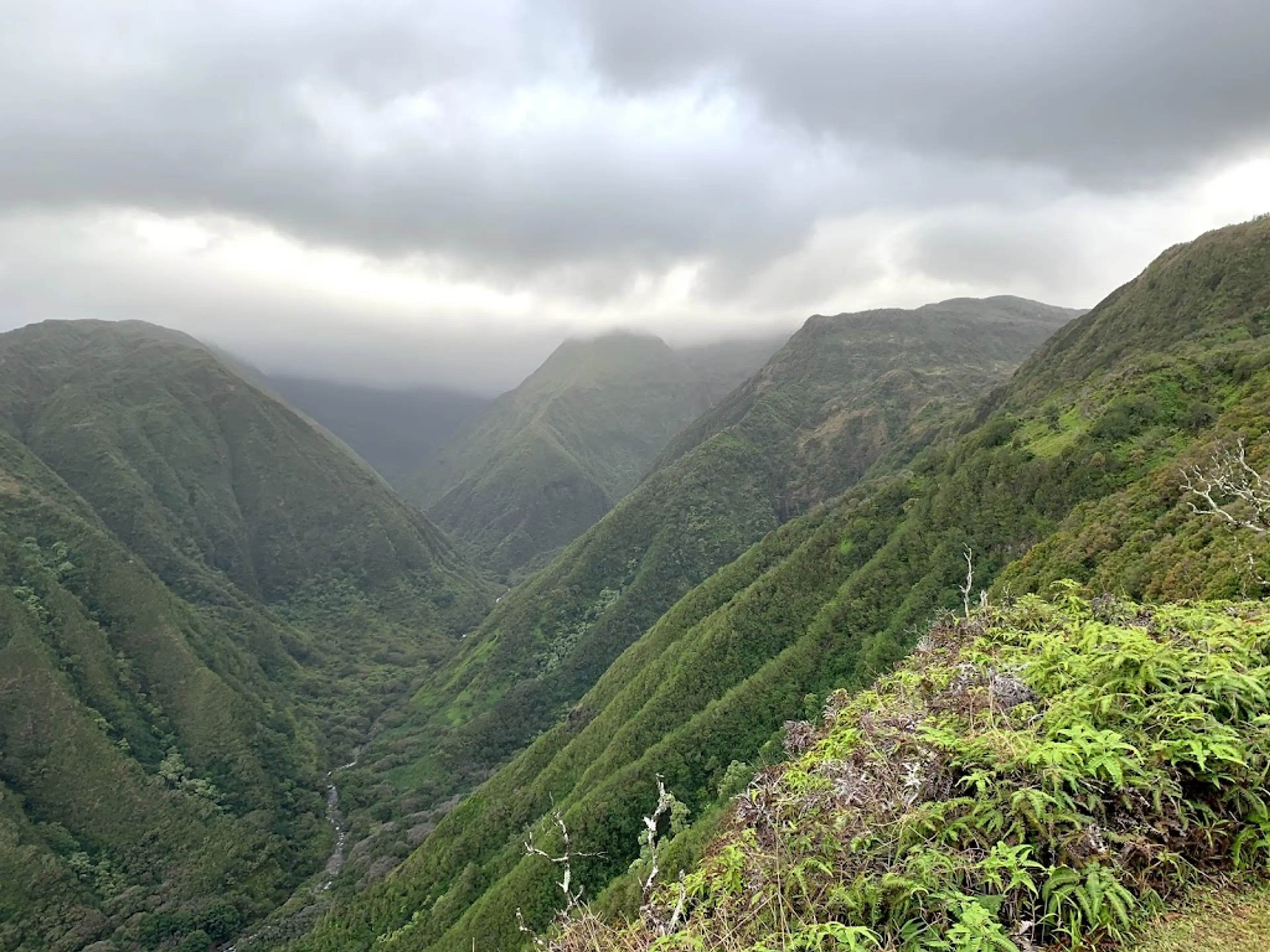 Waihee Ridge Trail