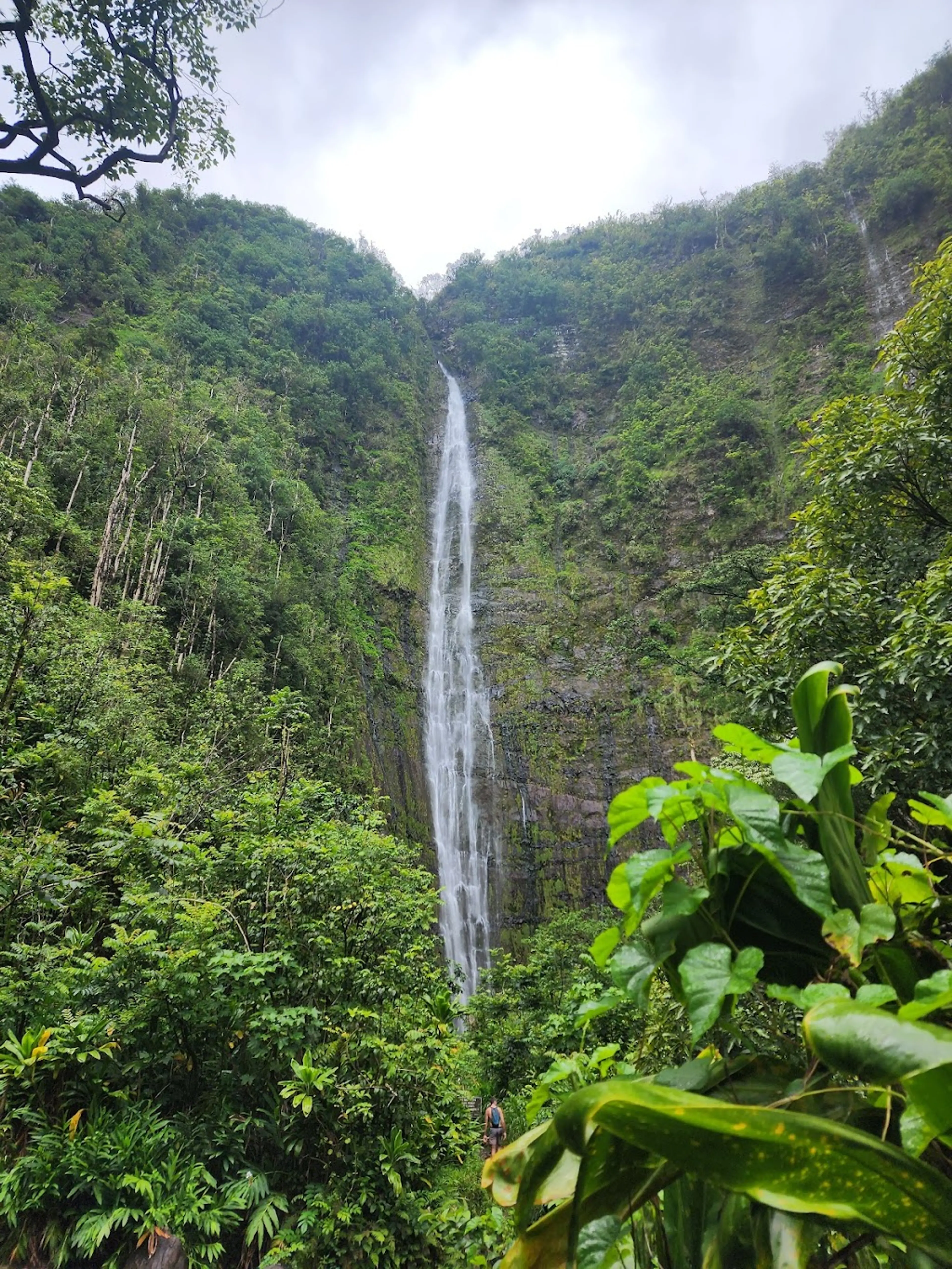 Waimoku Falls
