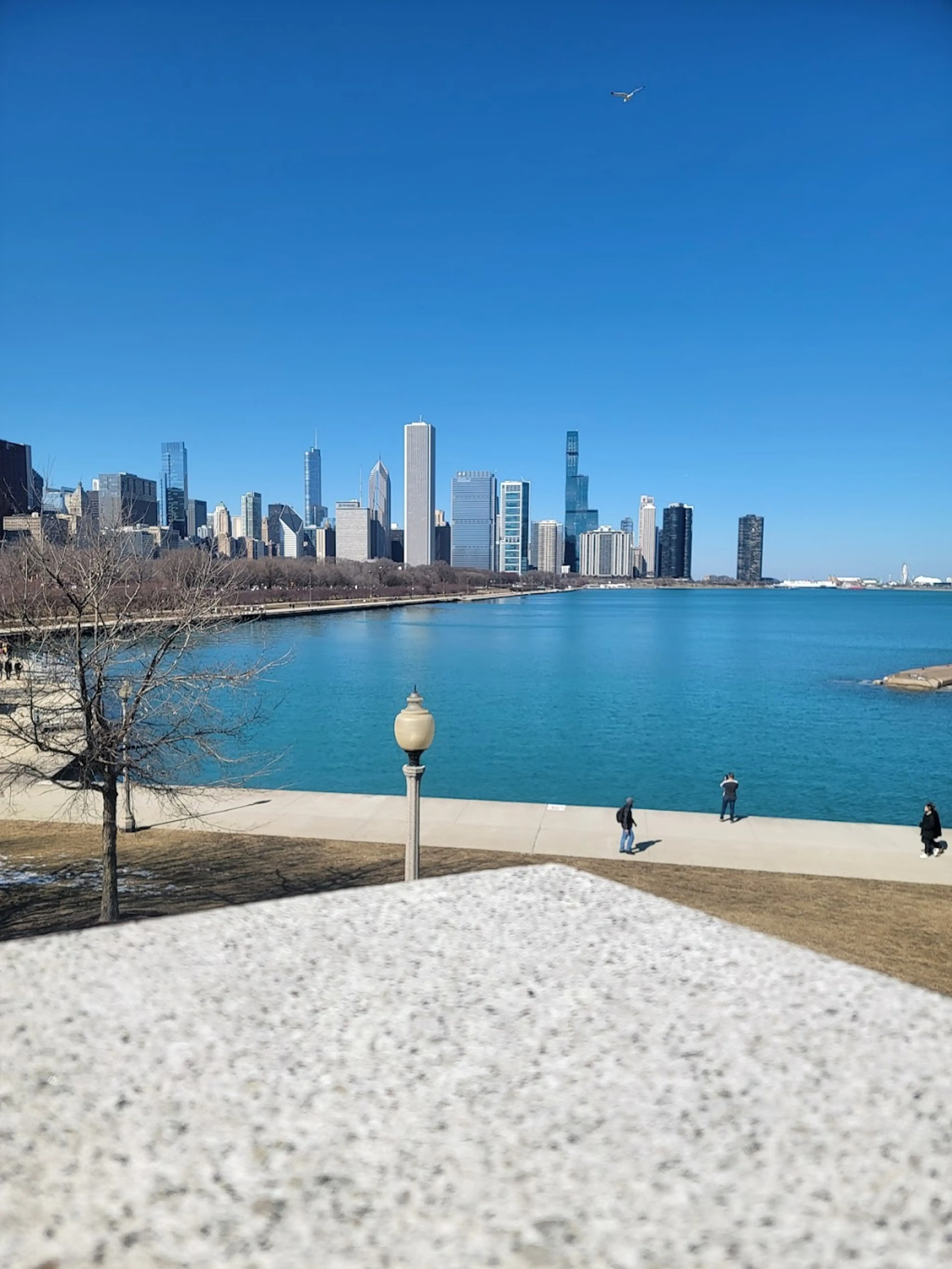 Museum District