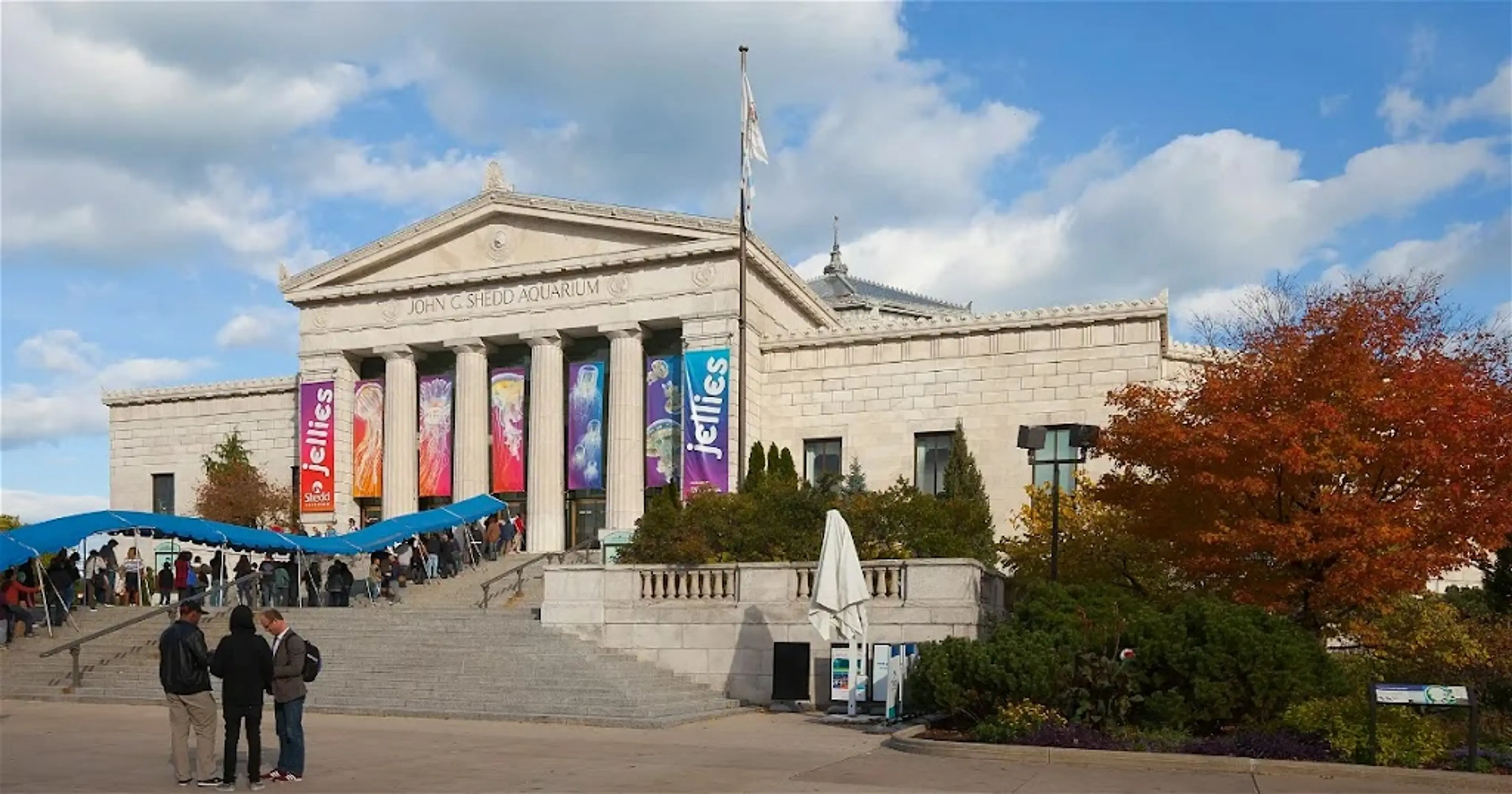 Shedd Aquarium