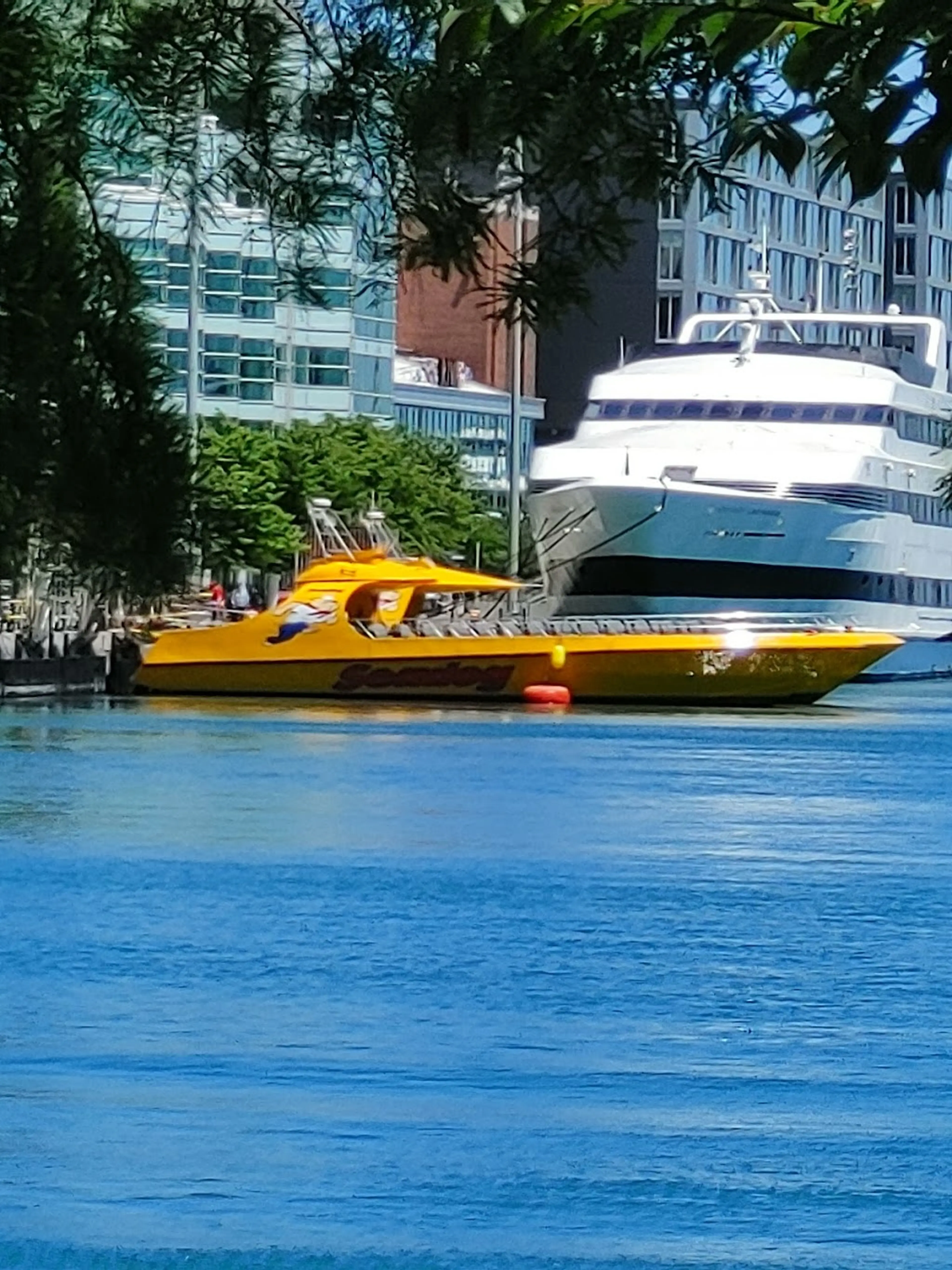 Speedboat Ride on Lake Michigan