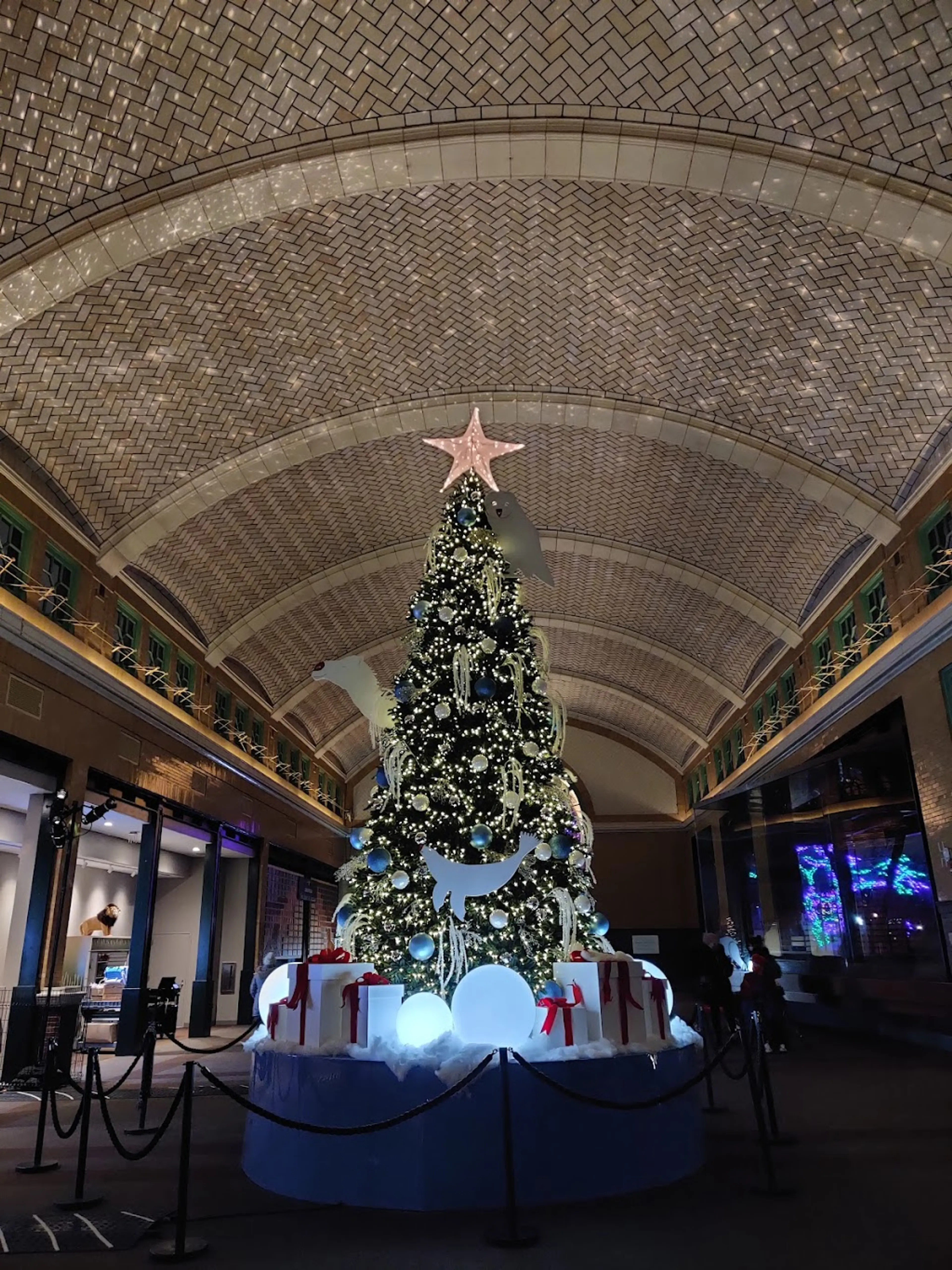 ZooLights at Lincoln Park Zoo