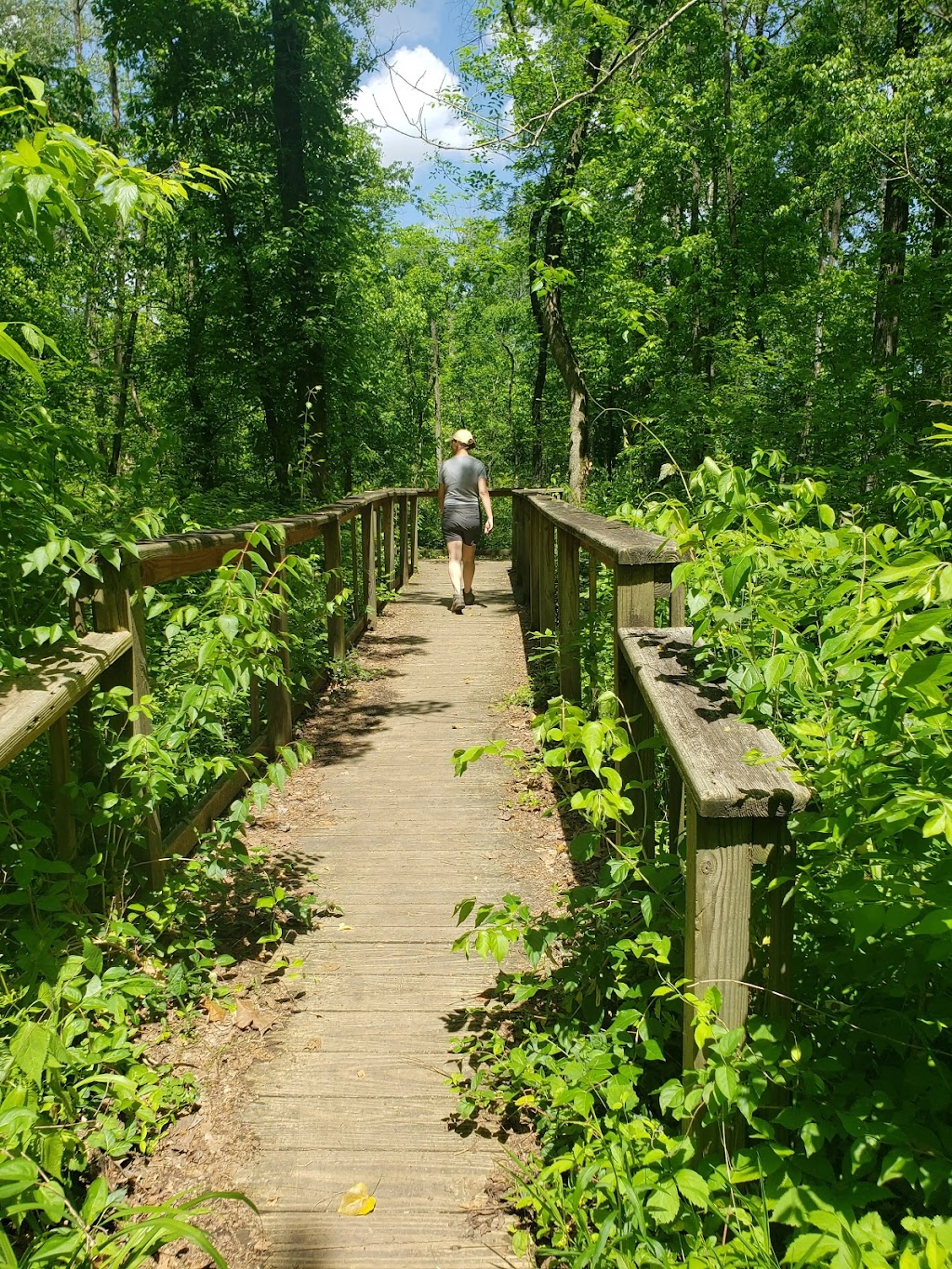 Nature Reserve