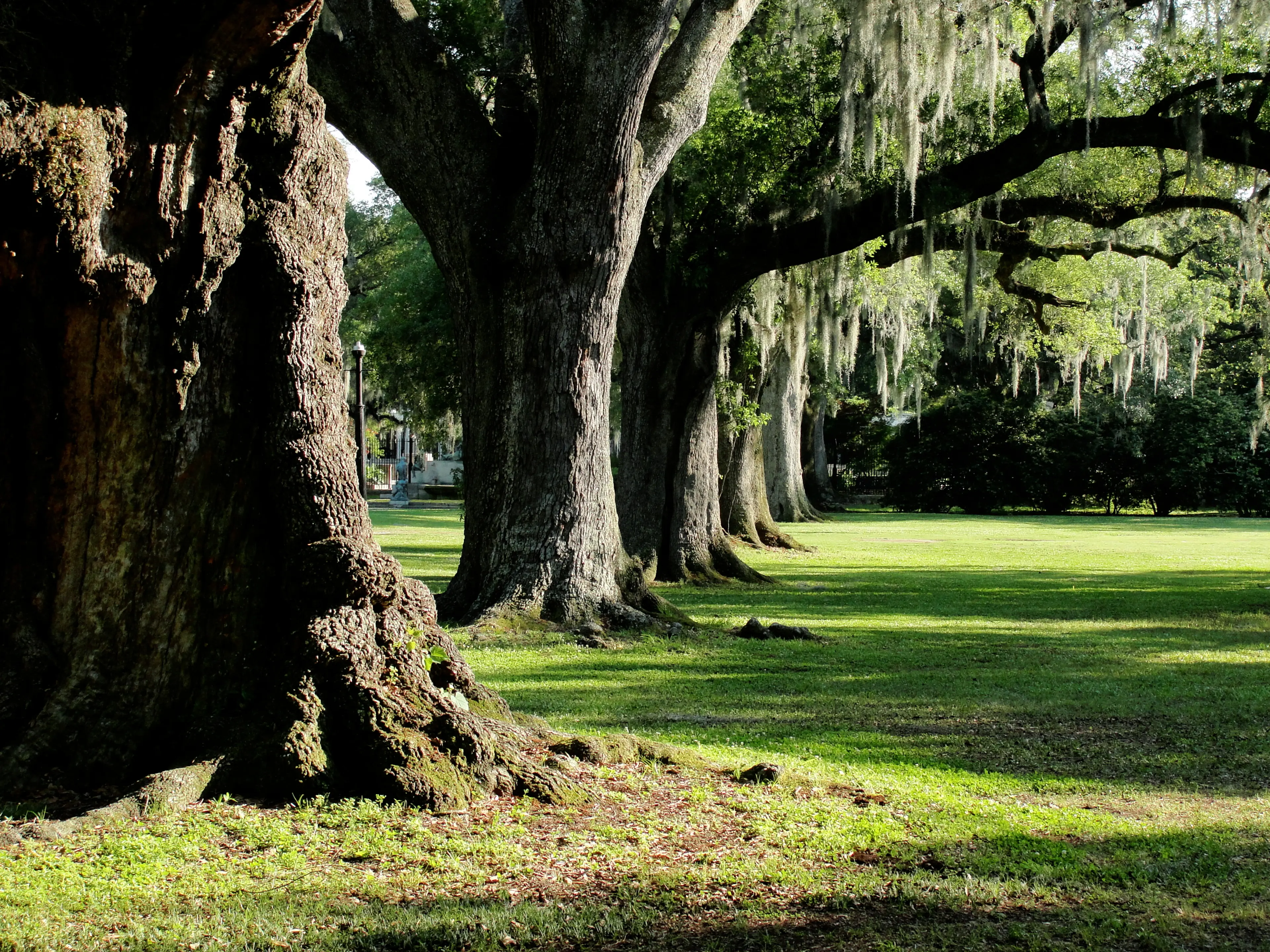 Audubon Park