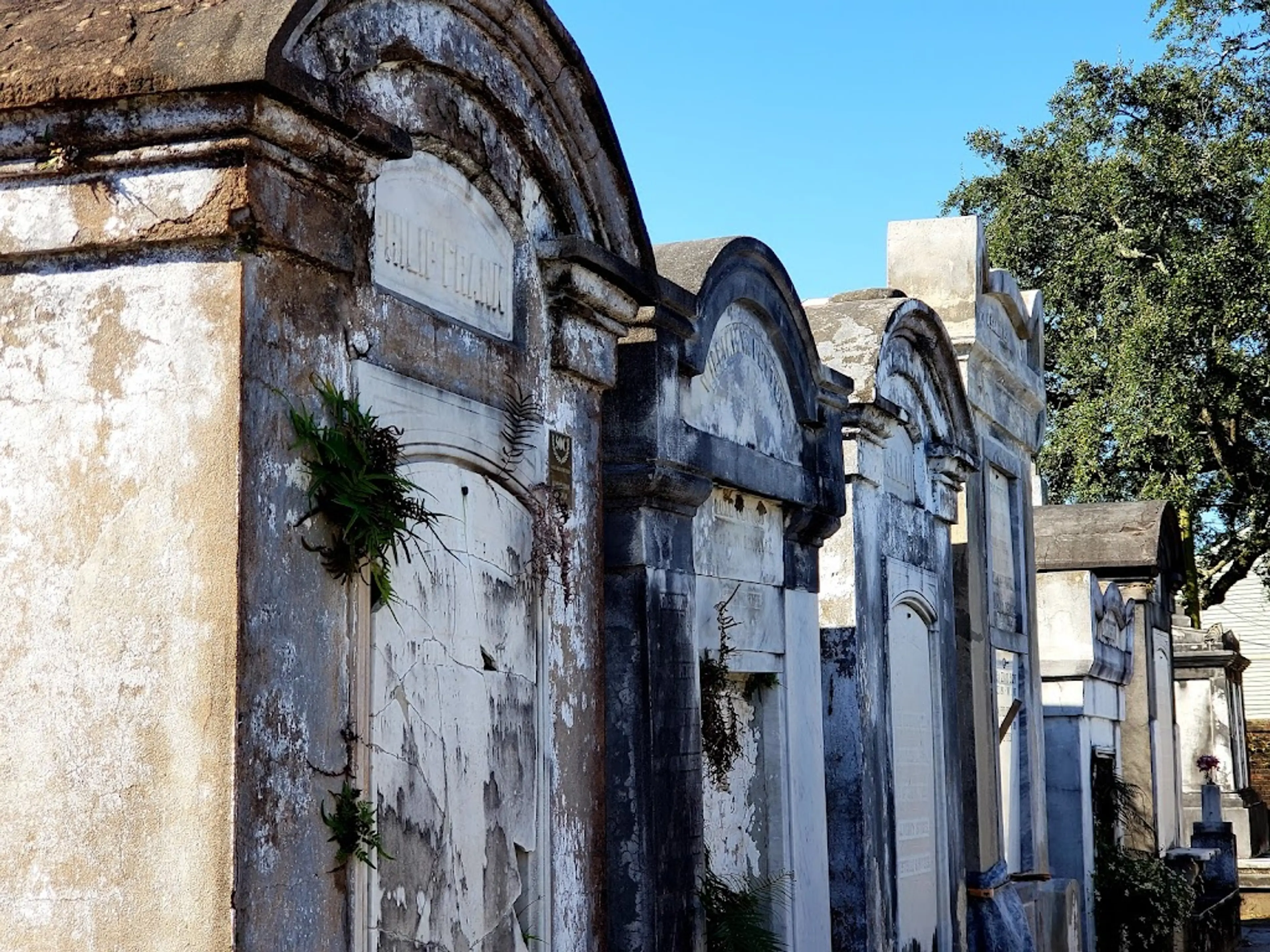 Lafayette Cemetery No. 1
