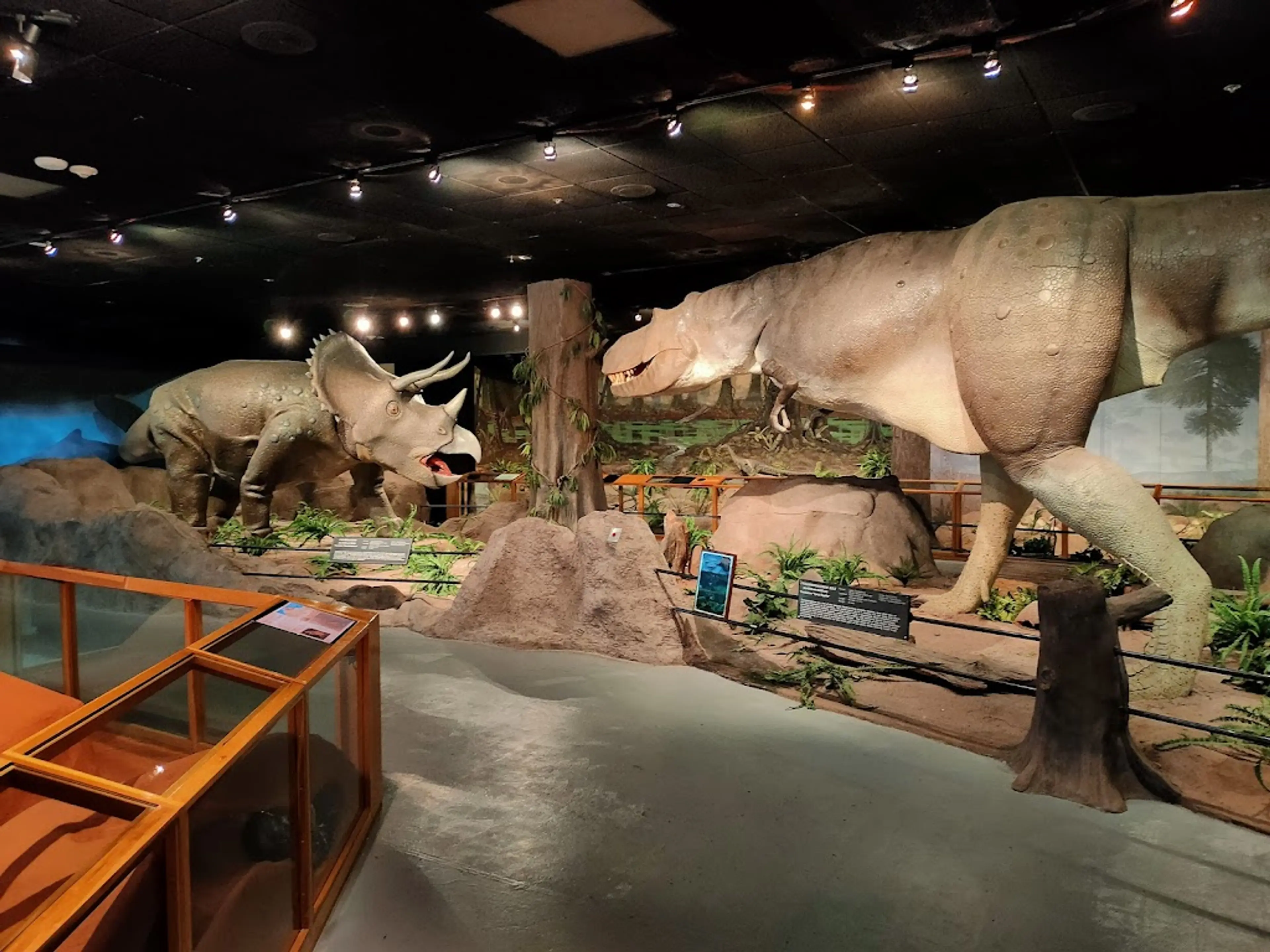 Natural History Museum