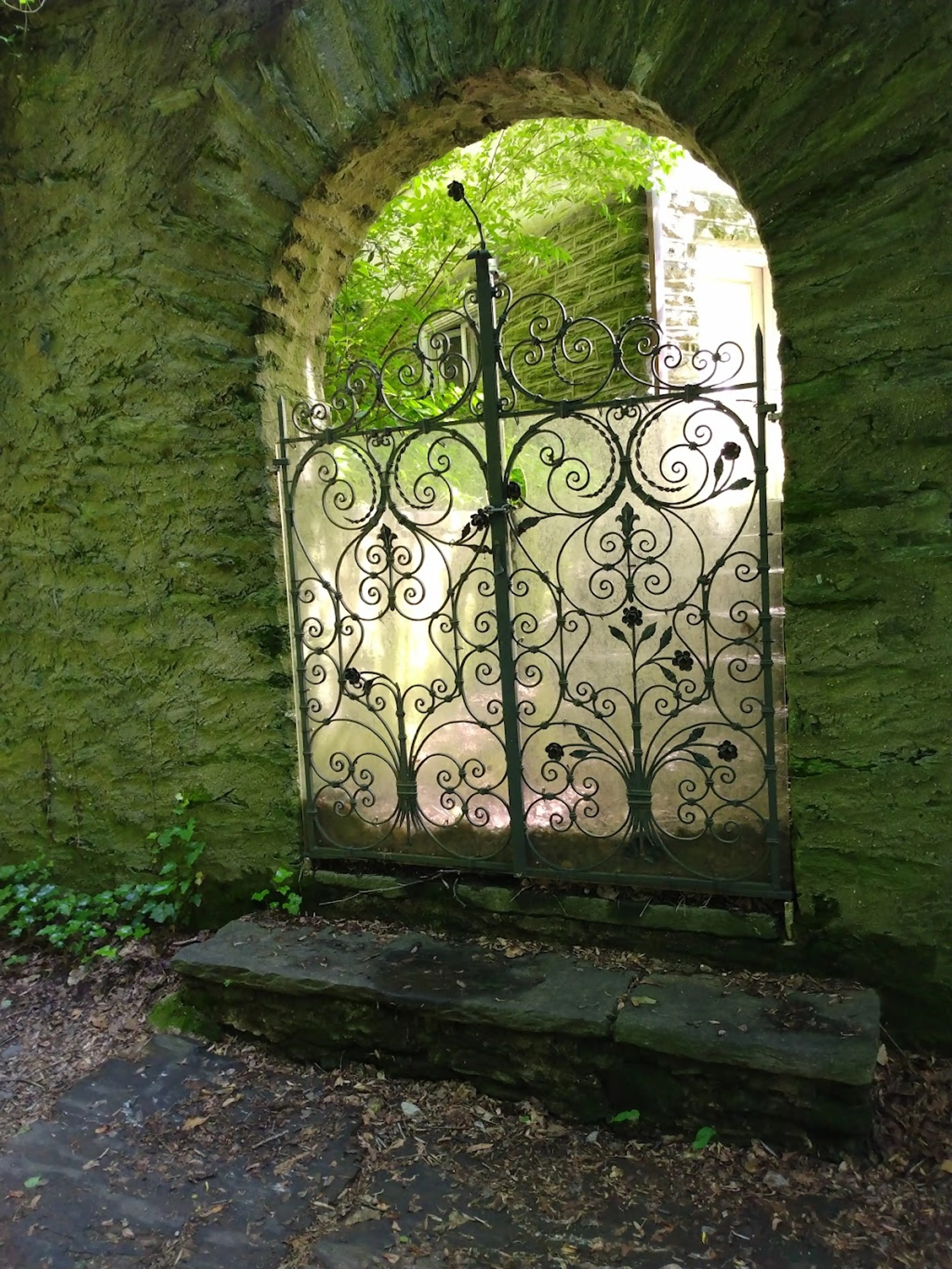 Chestnut Hill