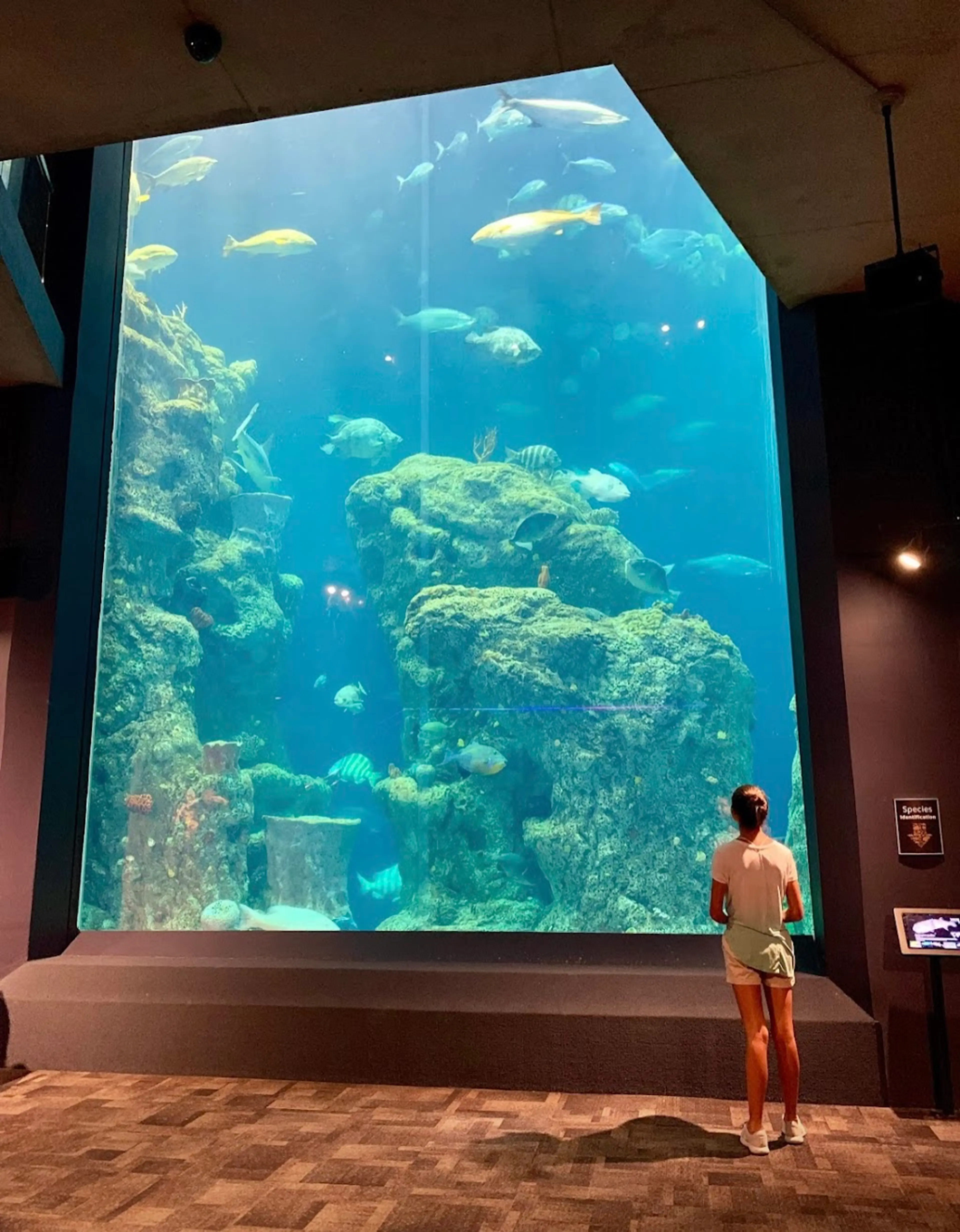 South Carolina Aquarium