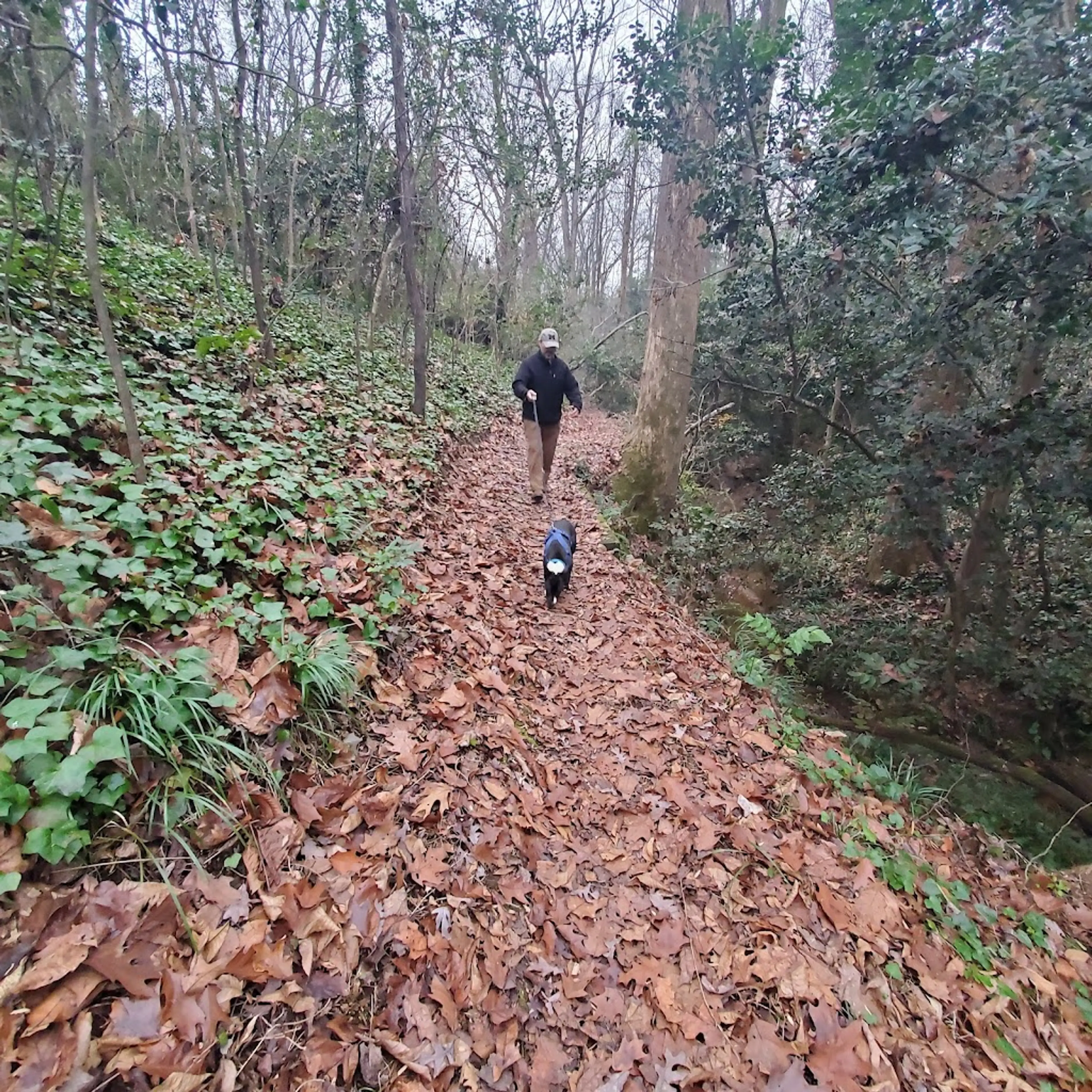 Mountain Hike