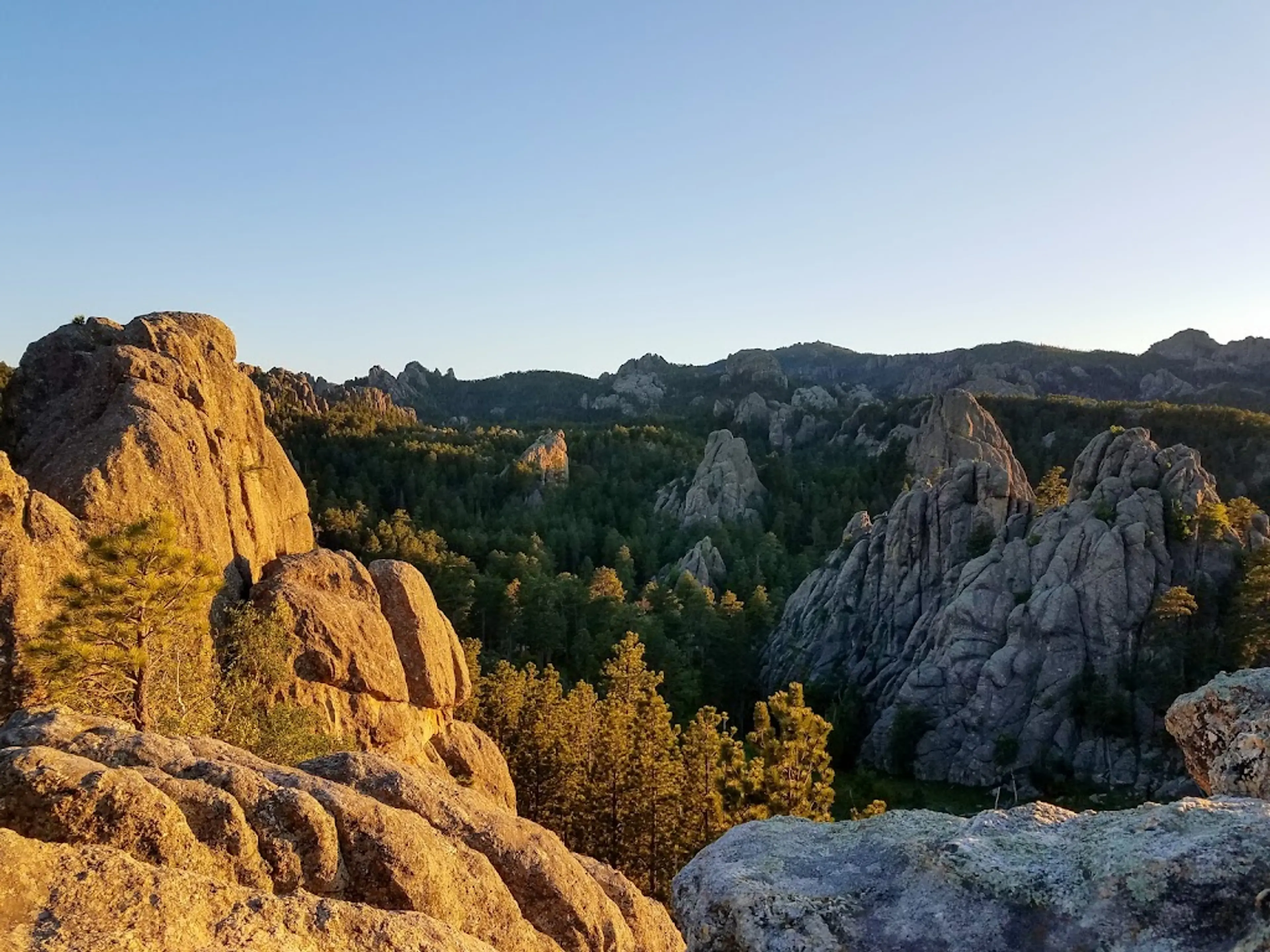 Black Hills National Forest