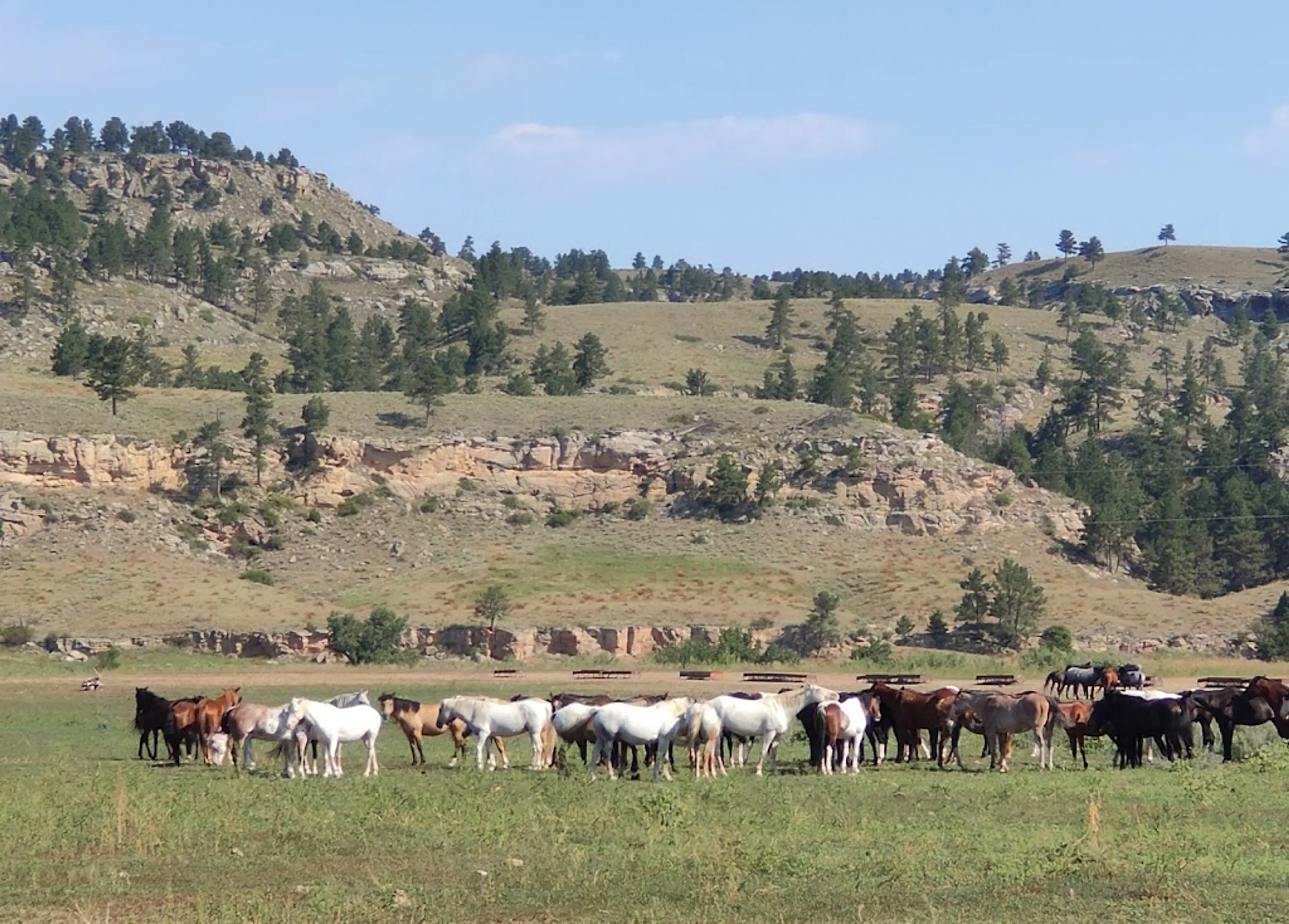 Black Hills Wild Horse Sanctuary