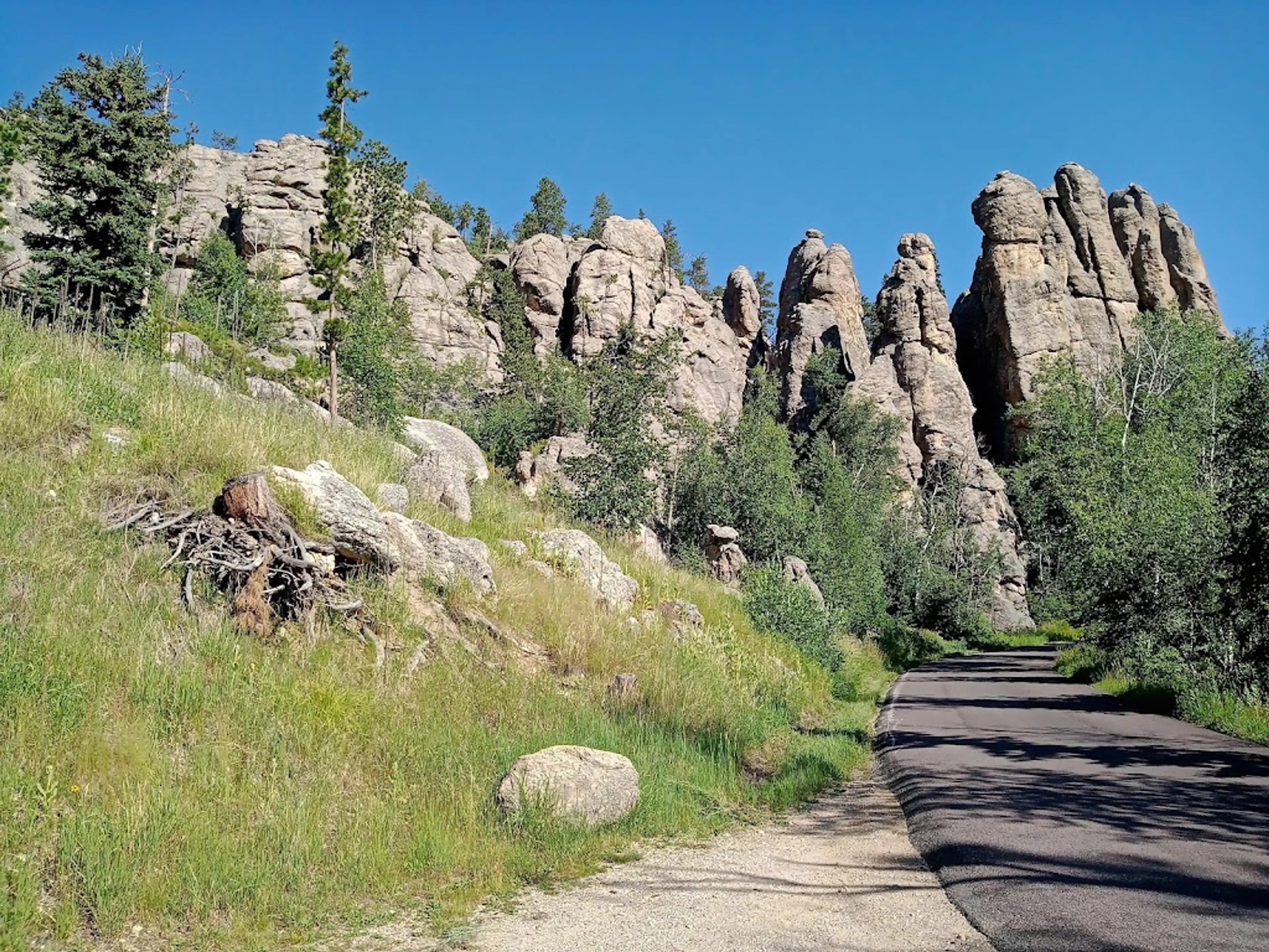 Needles Highway