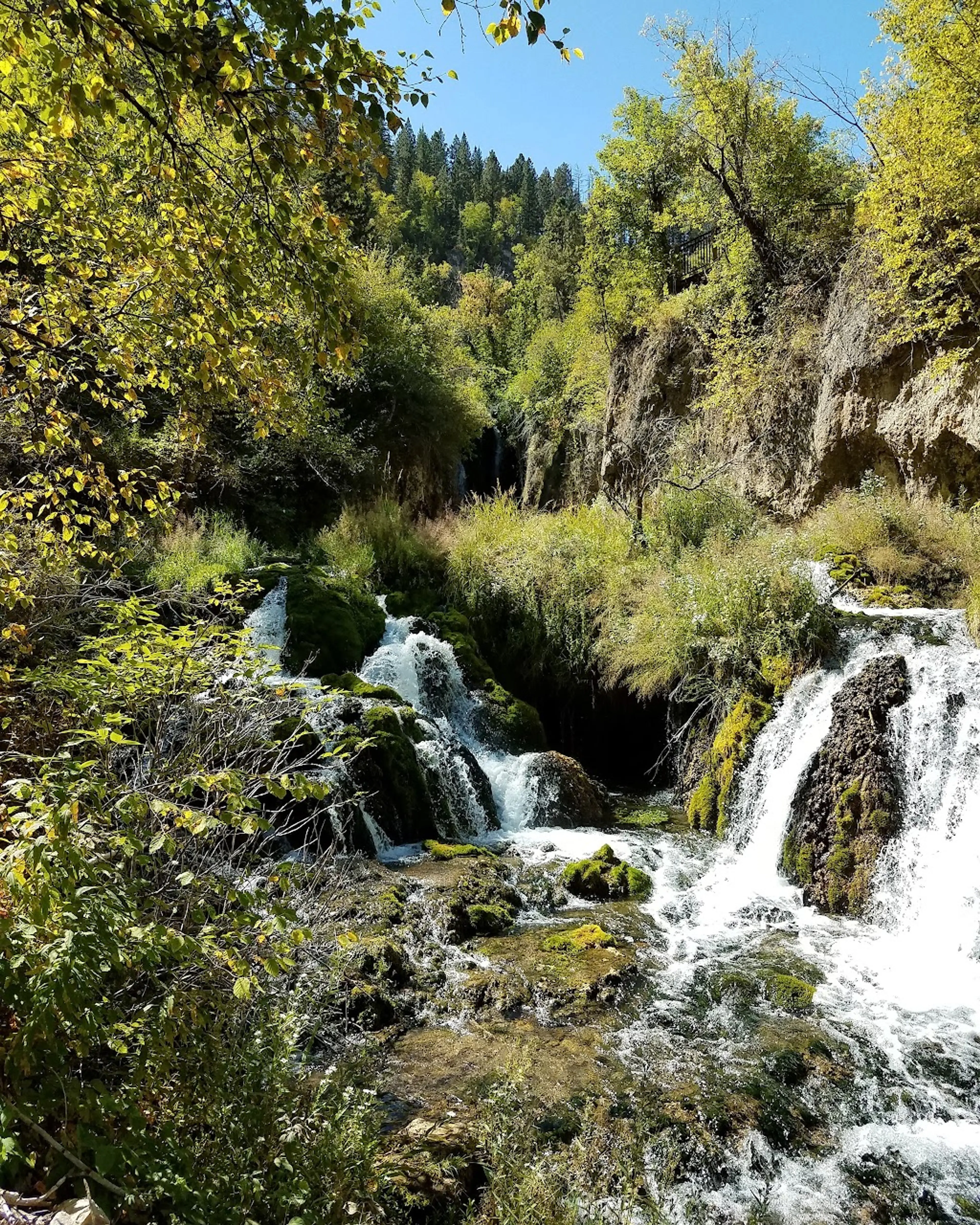 Roughlock Falls Nature Area