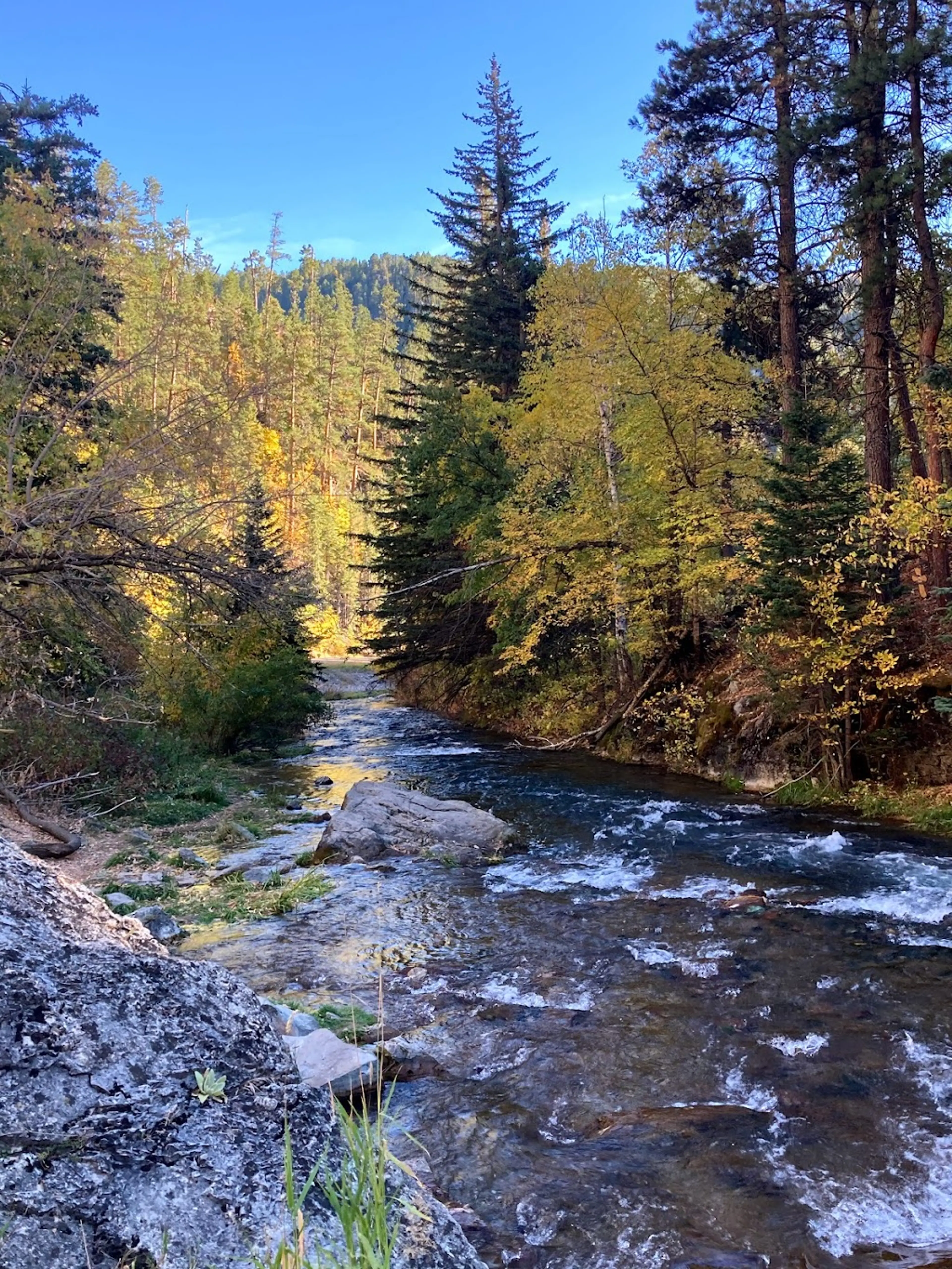 Spearfish Canyon Scenic Byway