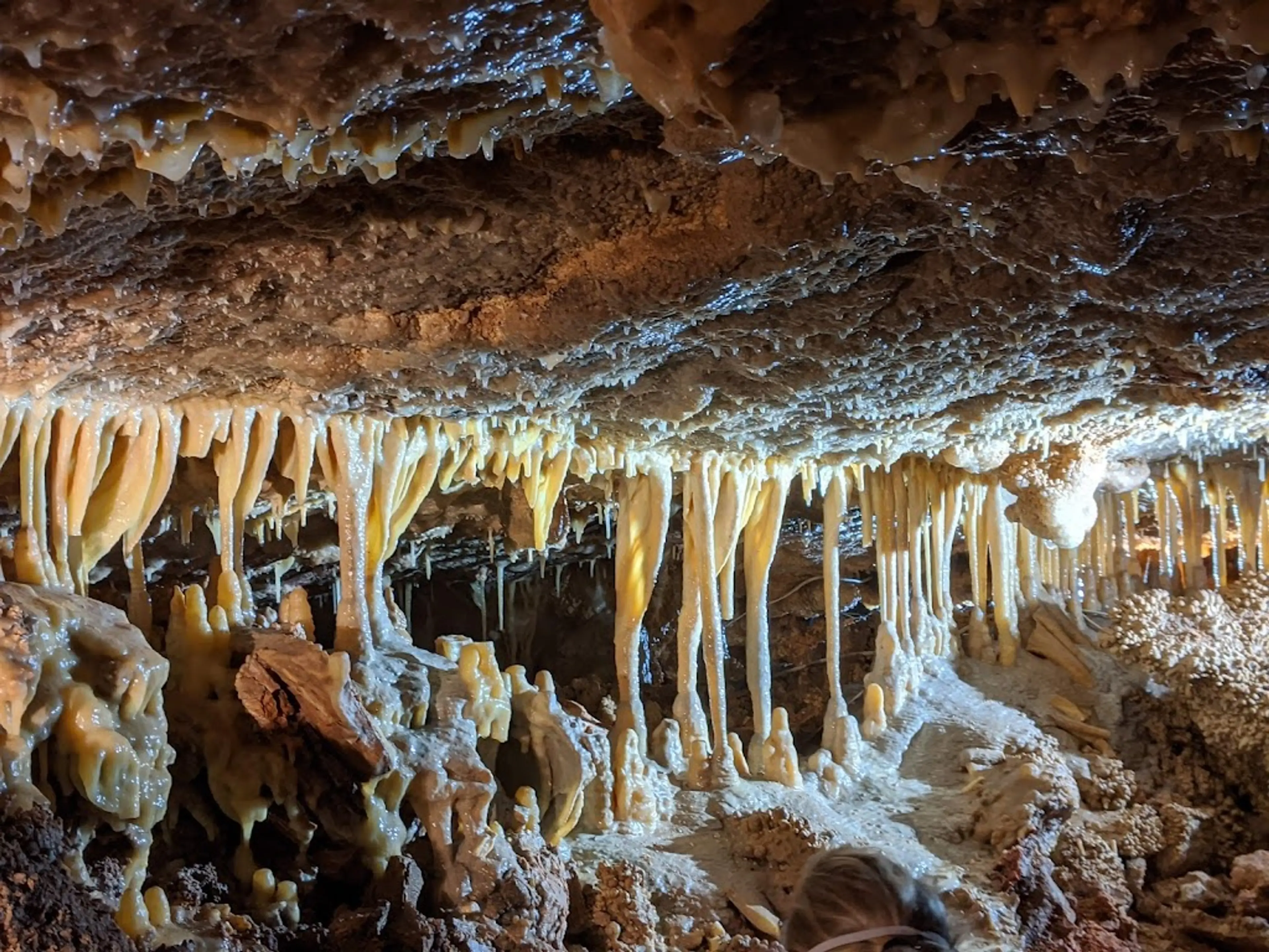 Wonderland Caves