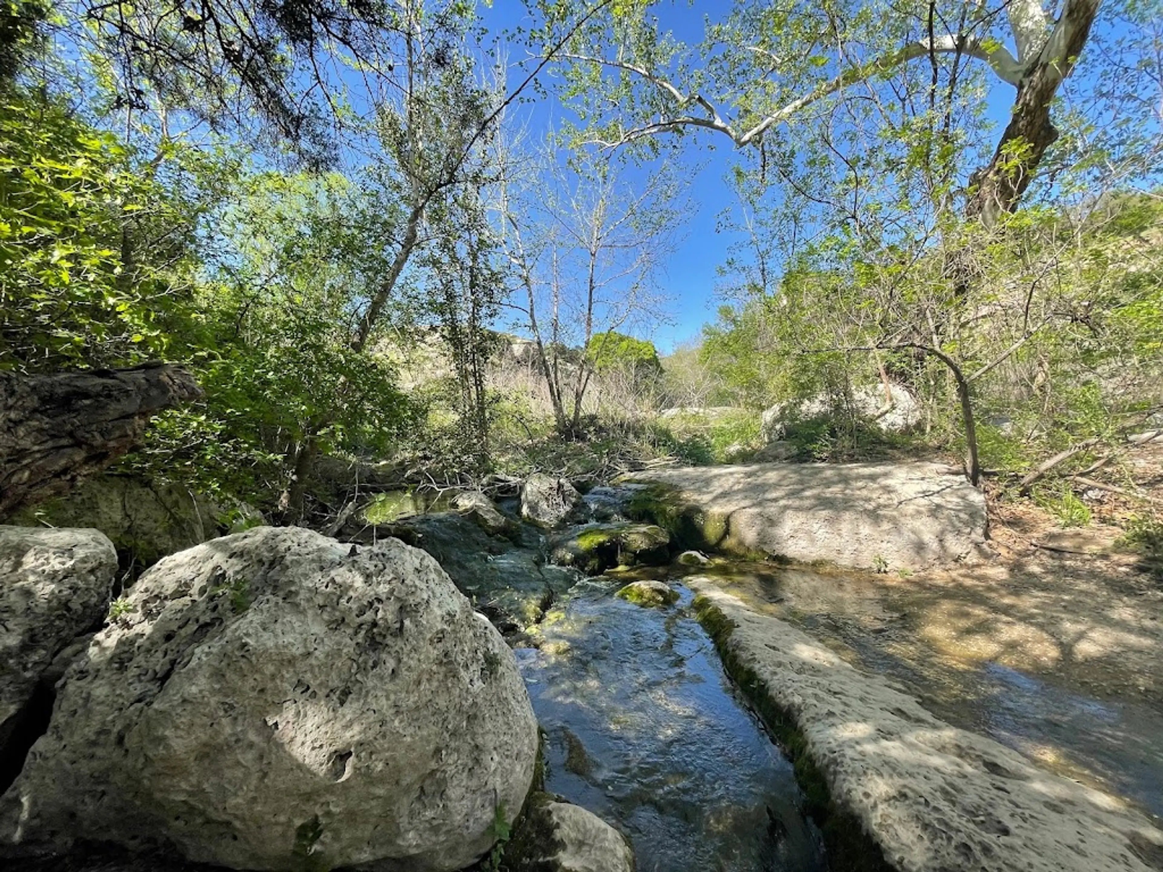 Nature Trail