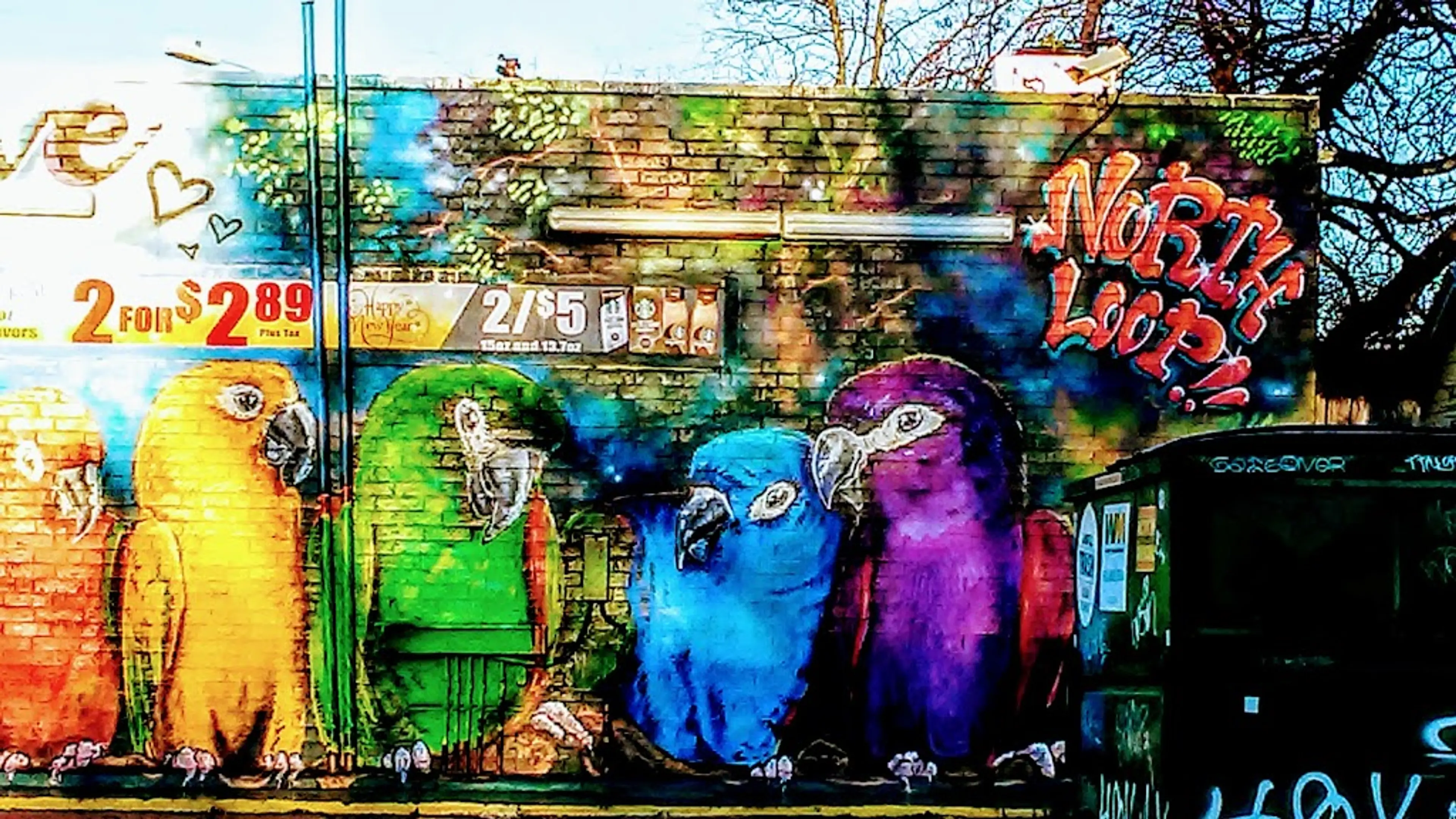 North Loop