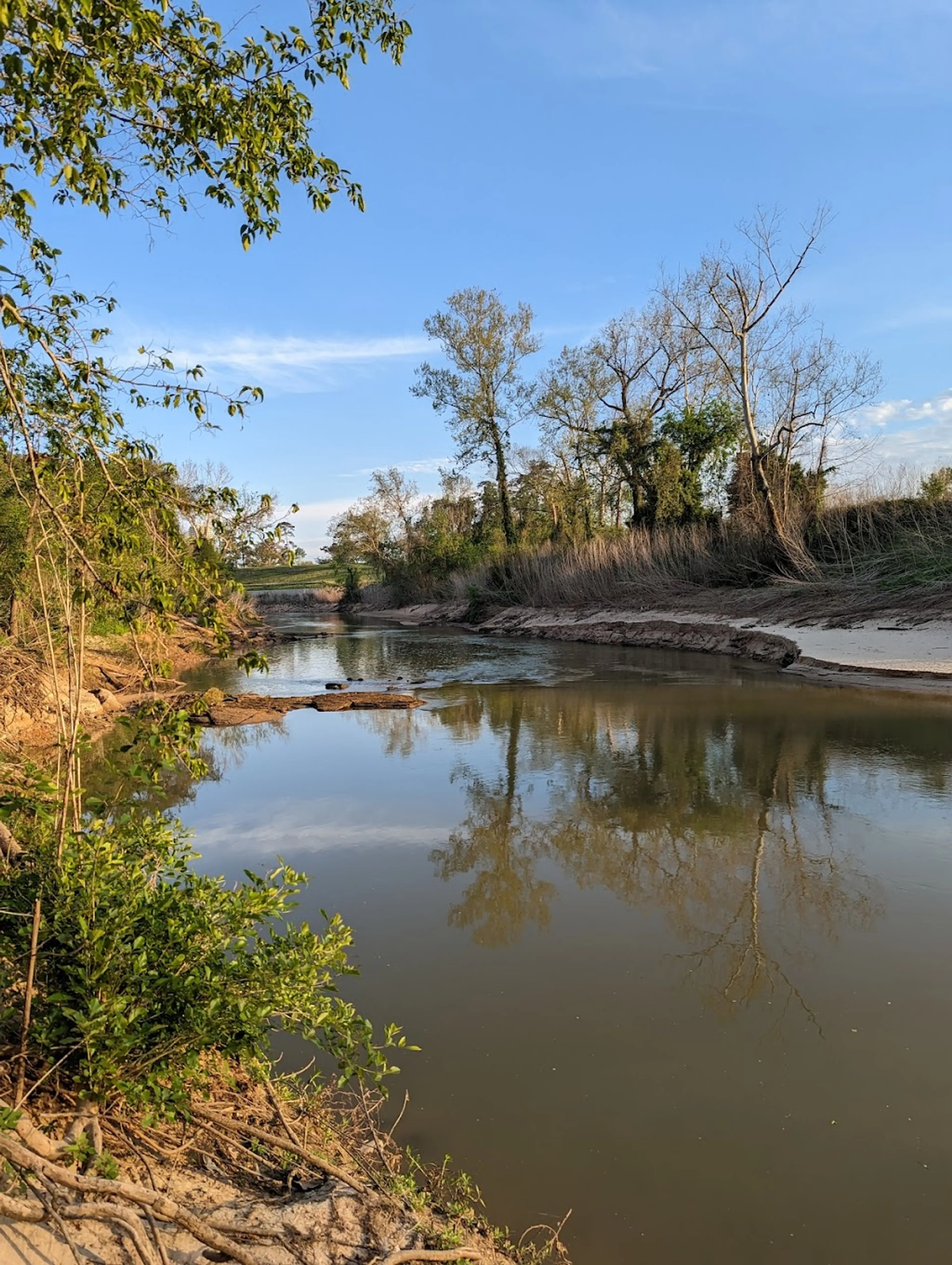 Scenic Trail
