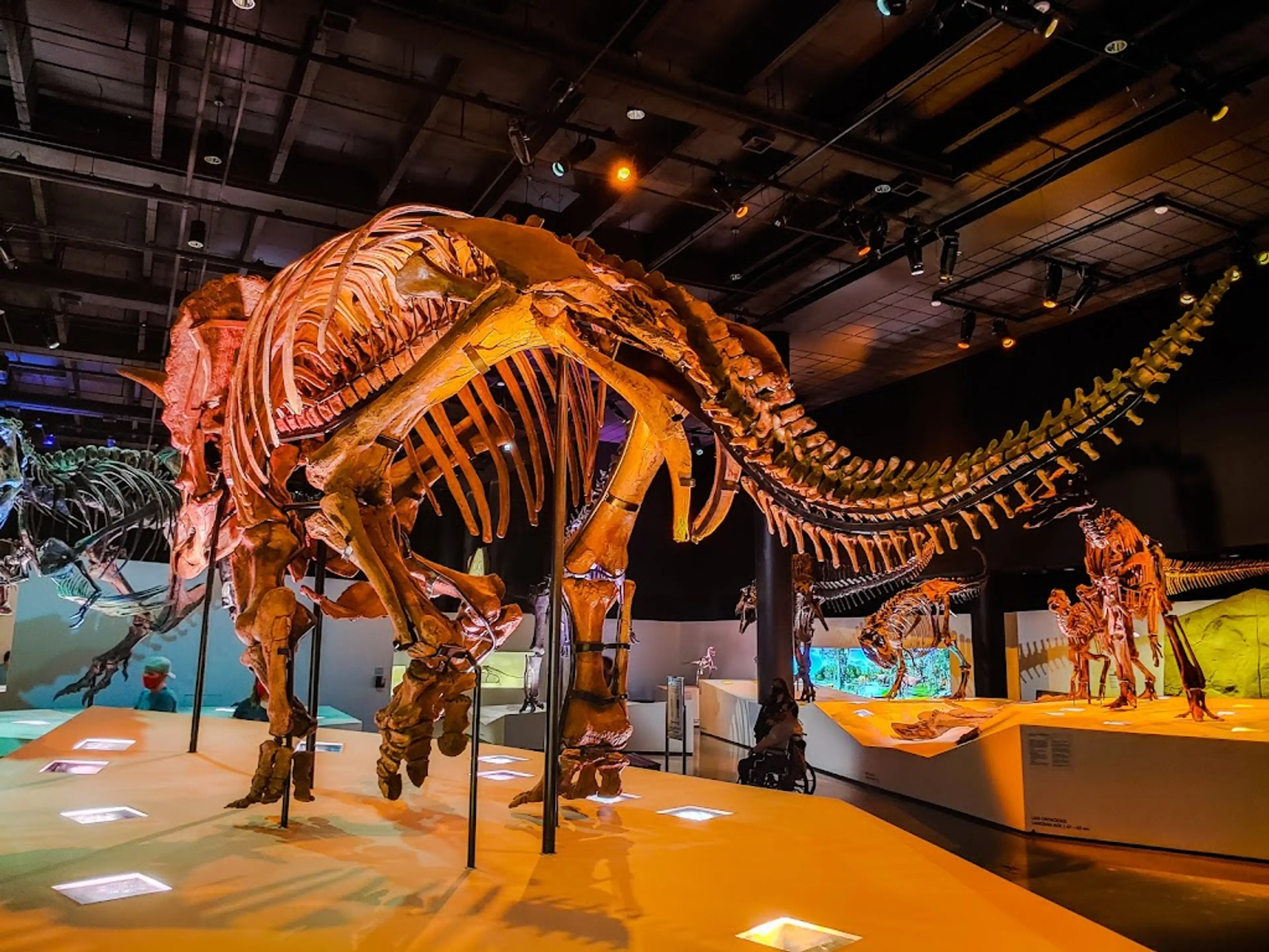Science Museum