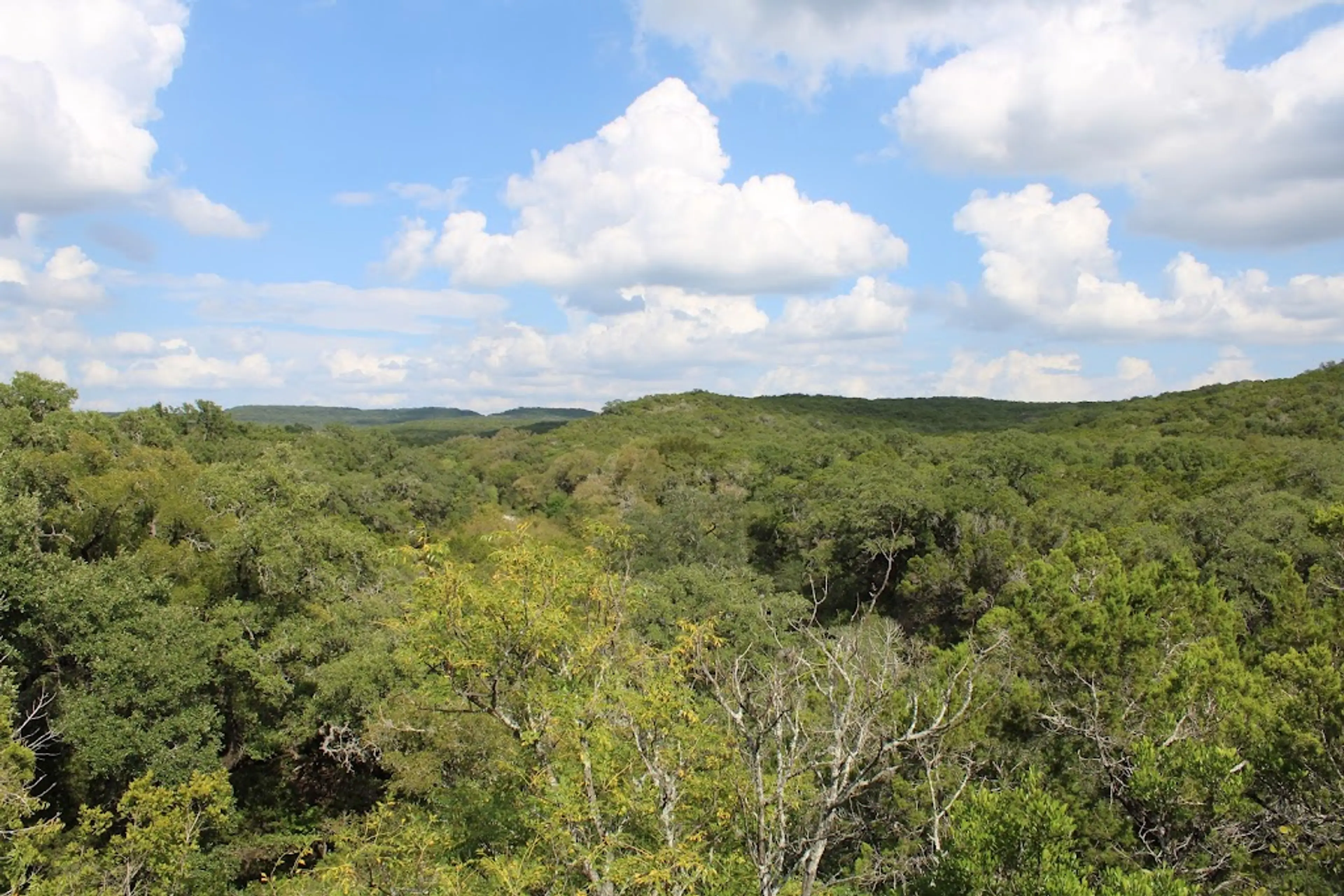 Government Canyon State Natural Area