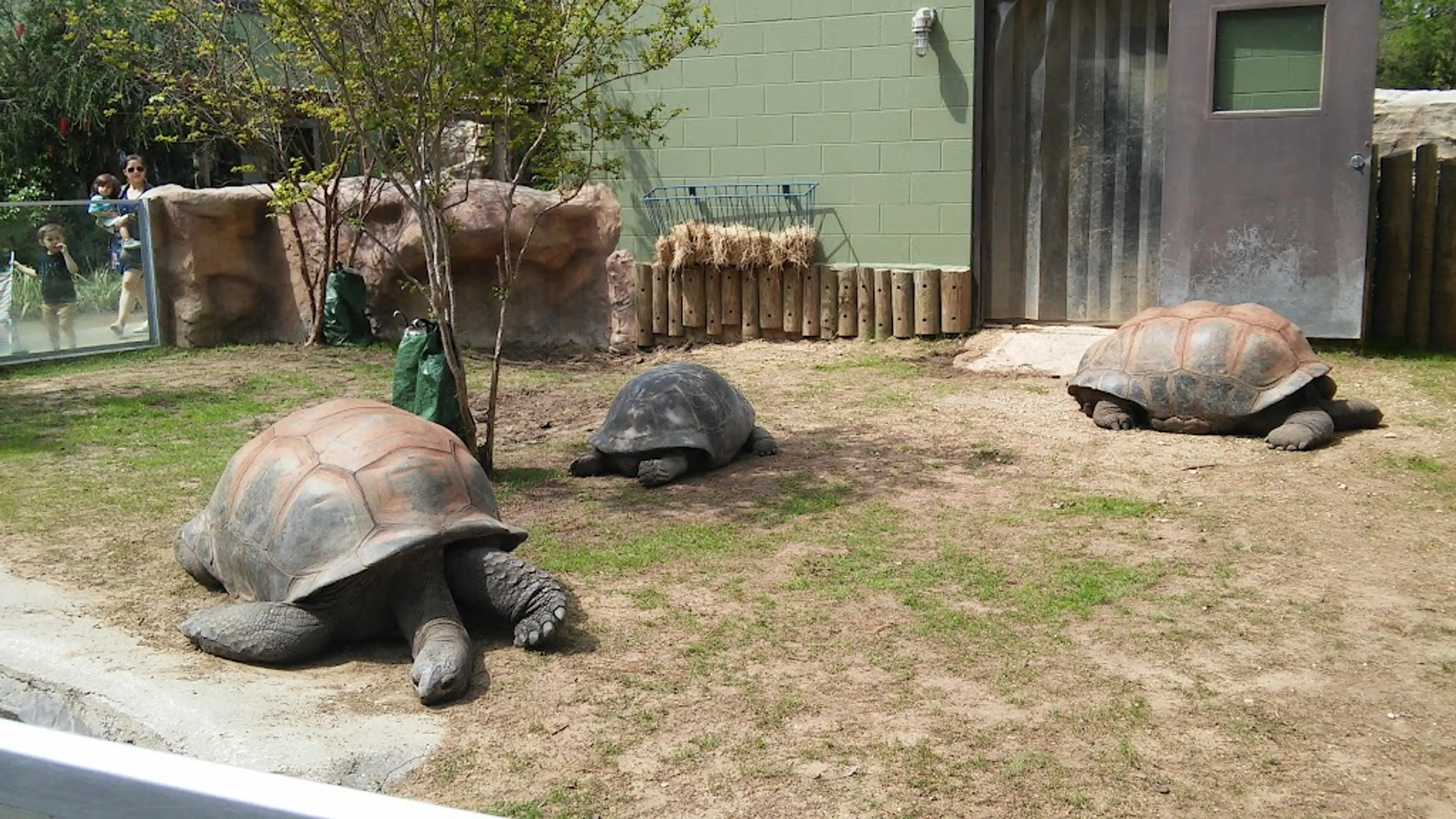 San Antonio Zoo