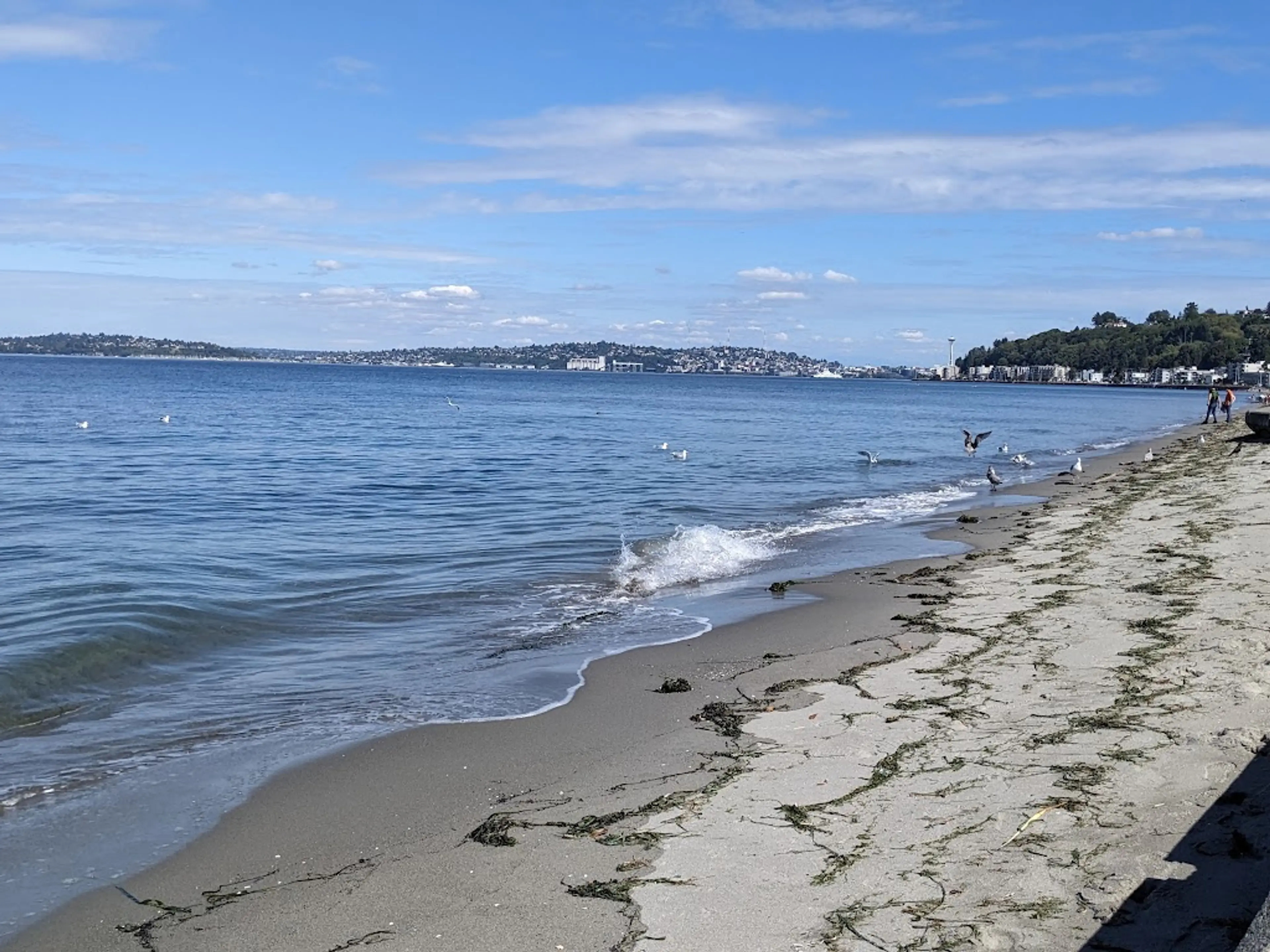 Alki Beach Park