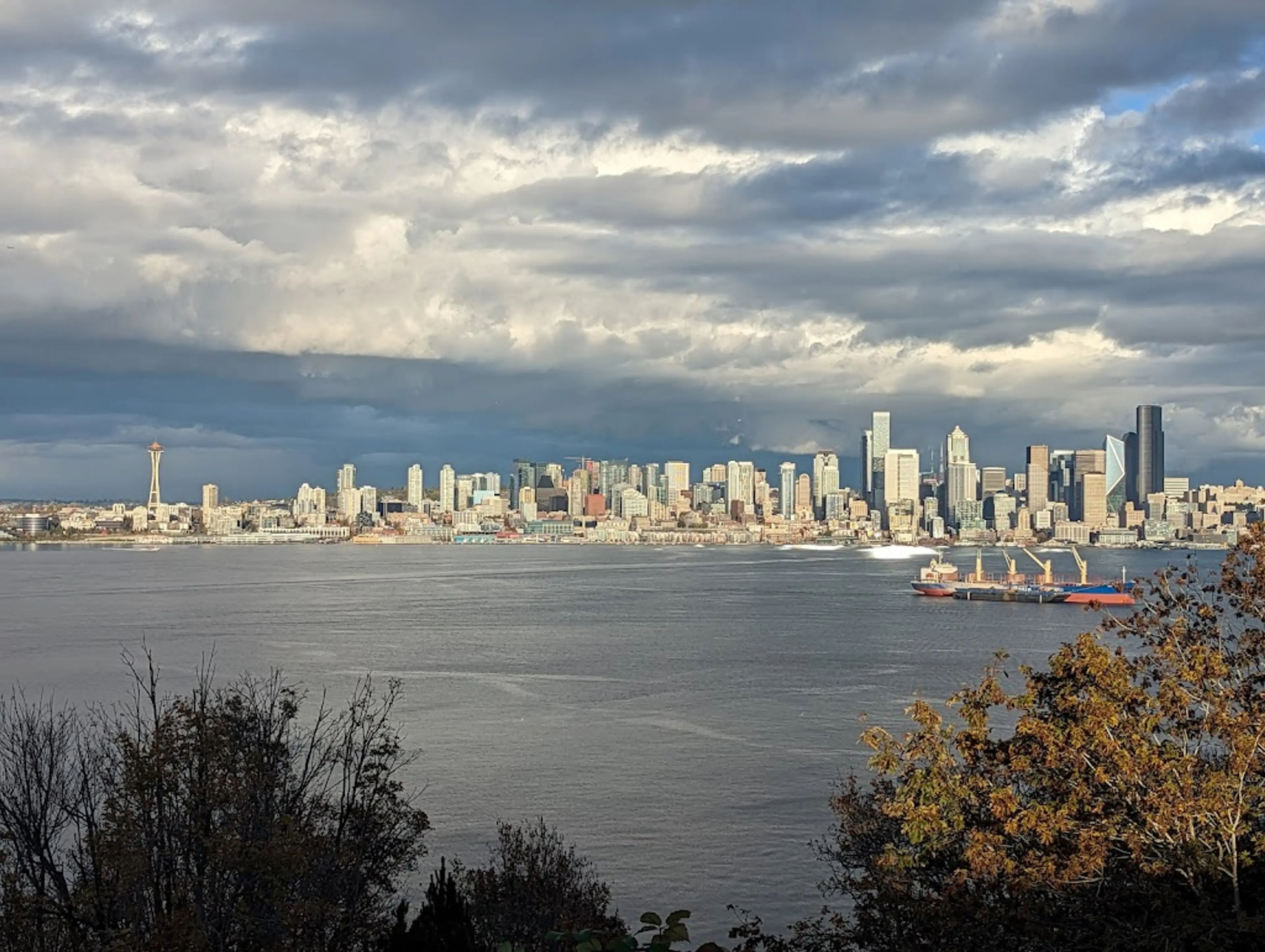 Park with City Views