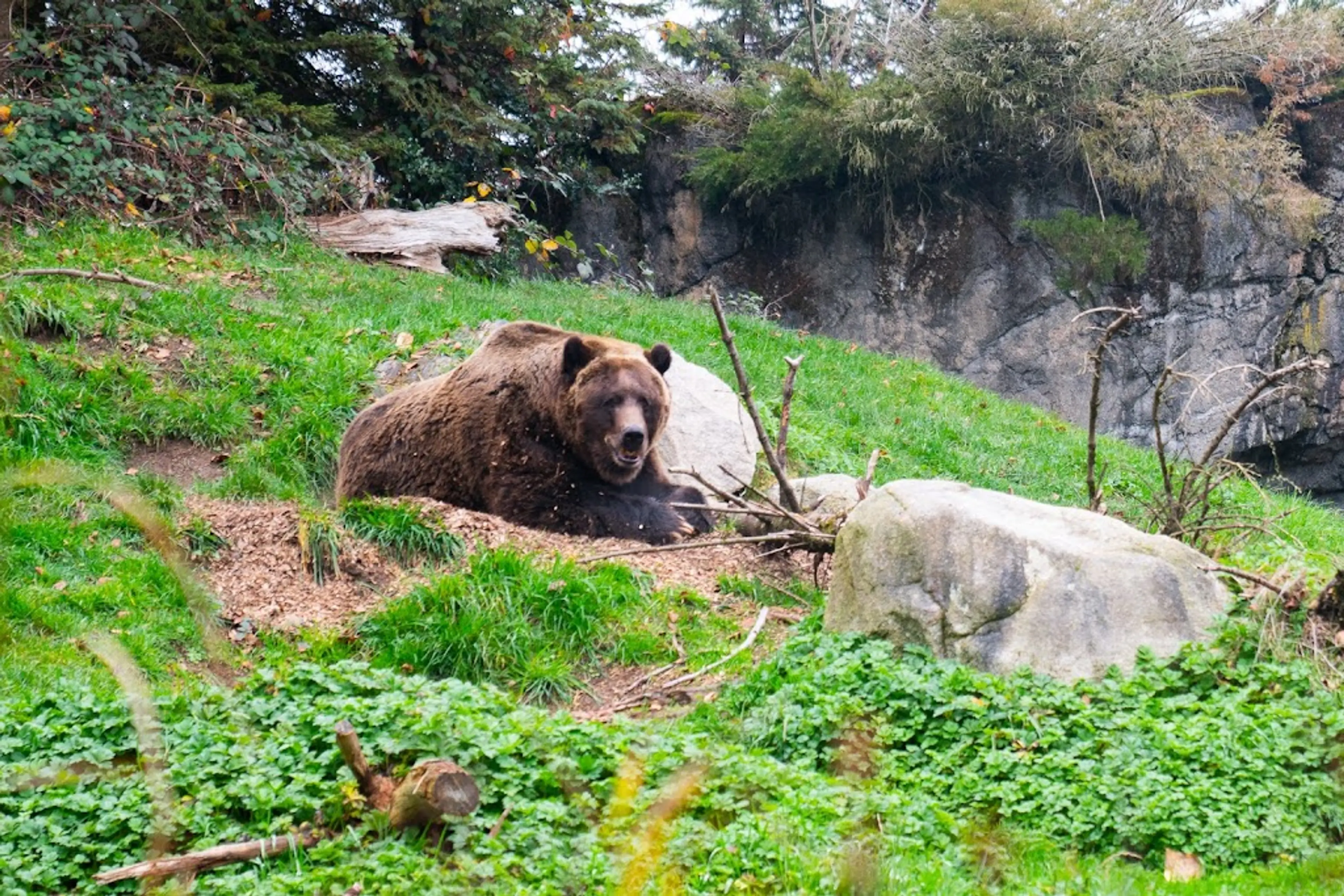 Woodland Park Zoo