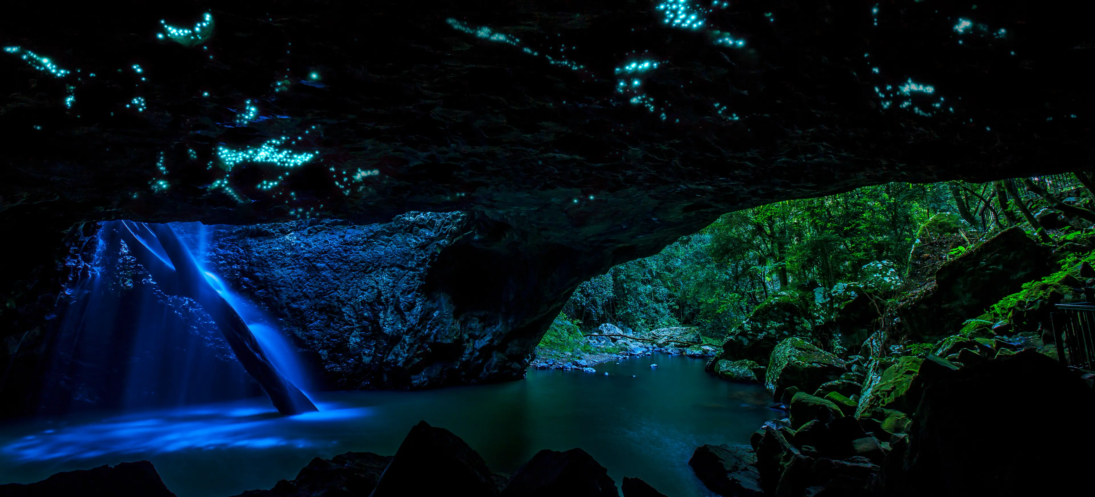 Glow Worm Caves