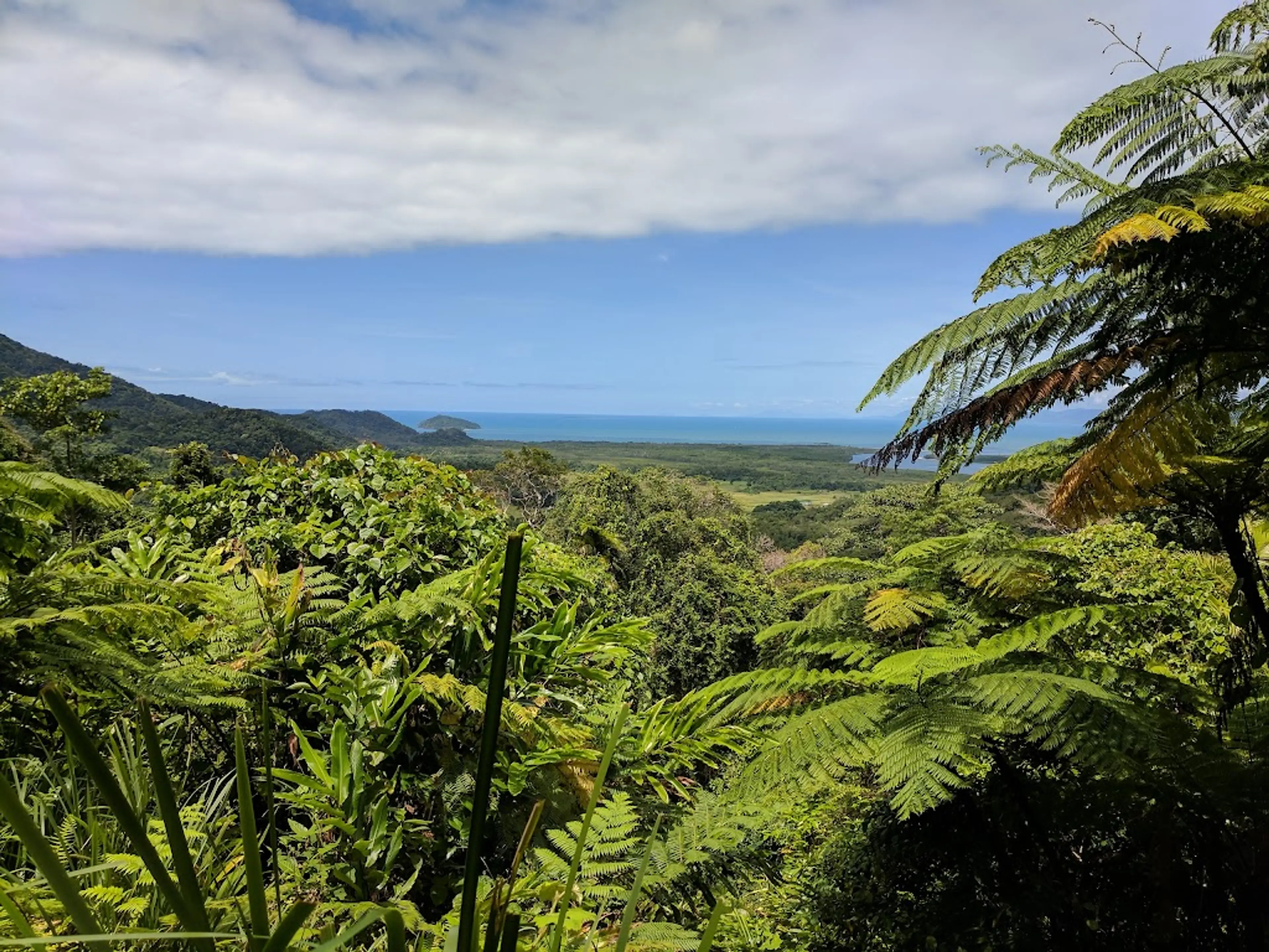 Hike in the rainforest