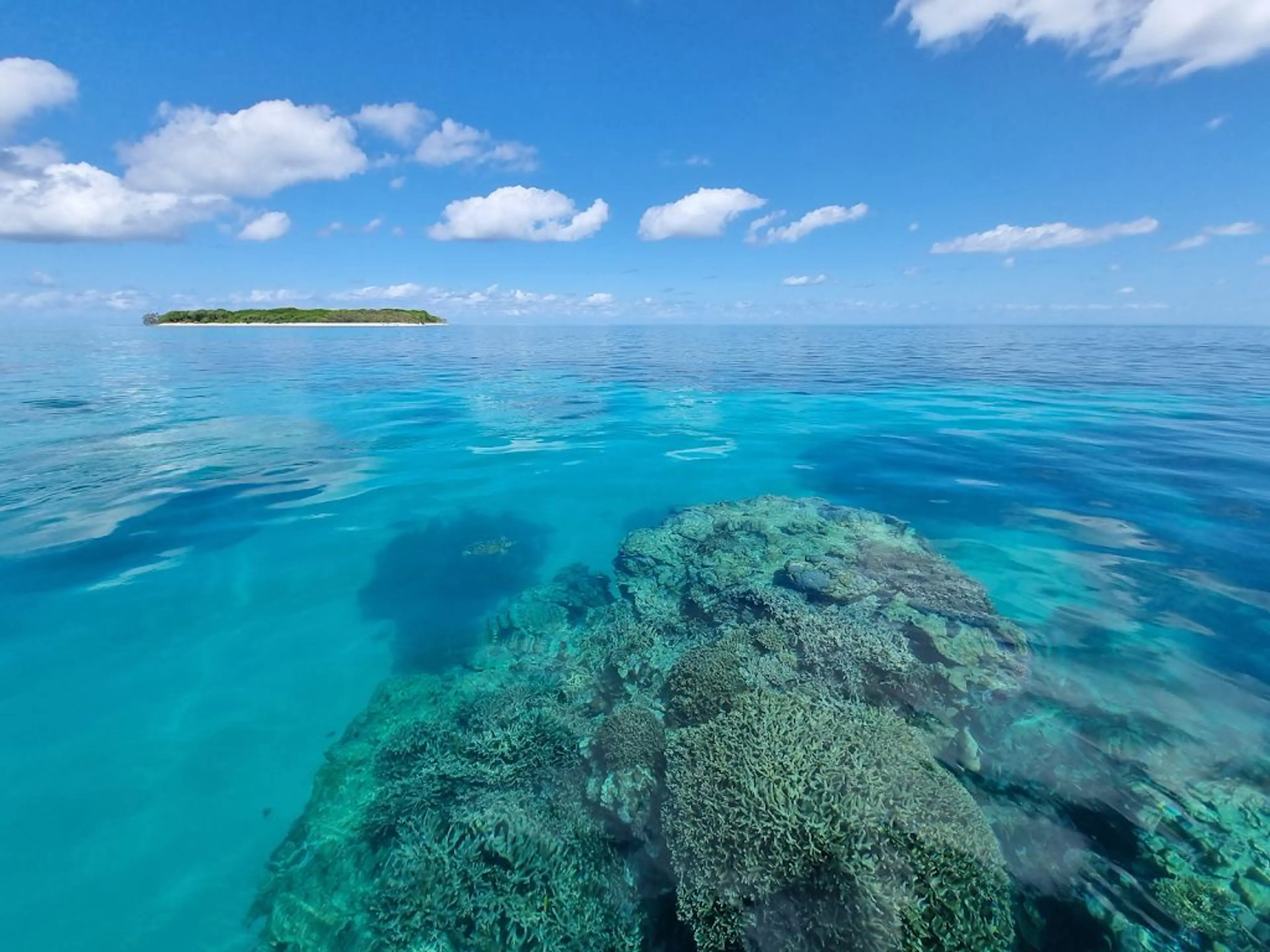 Sunset cruise on the Great Barrier Reef