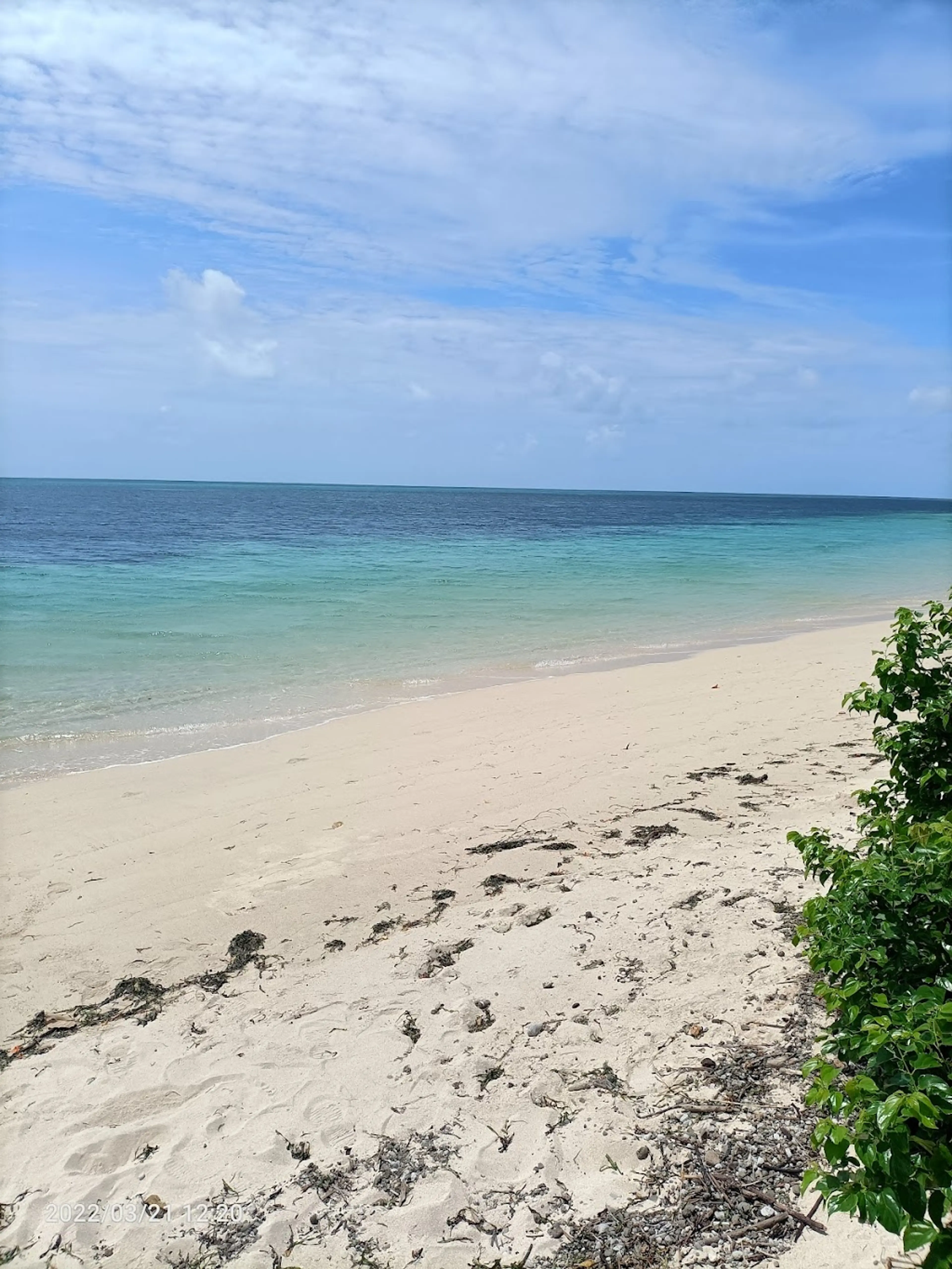 Walk along the beach