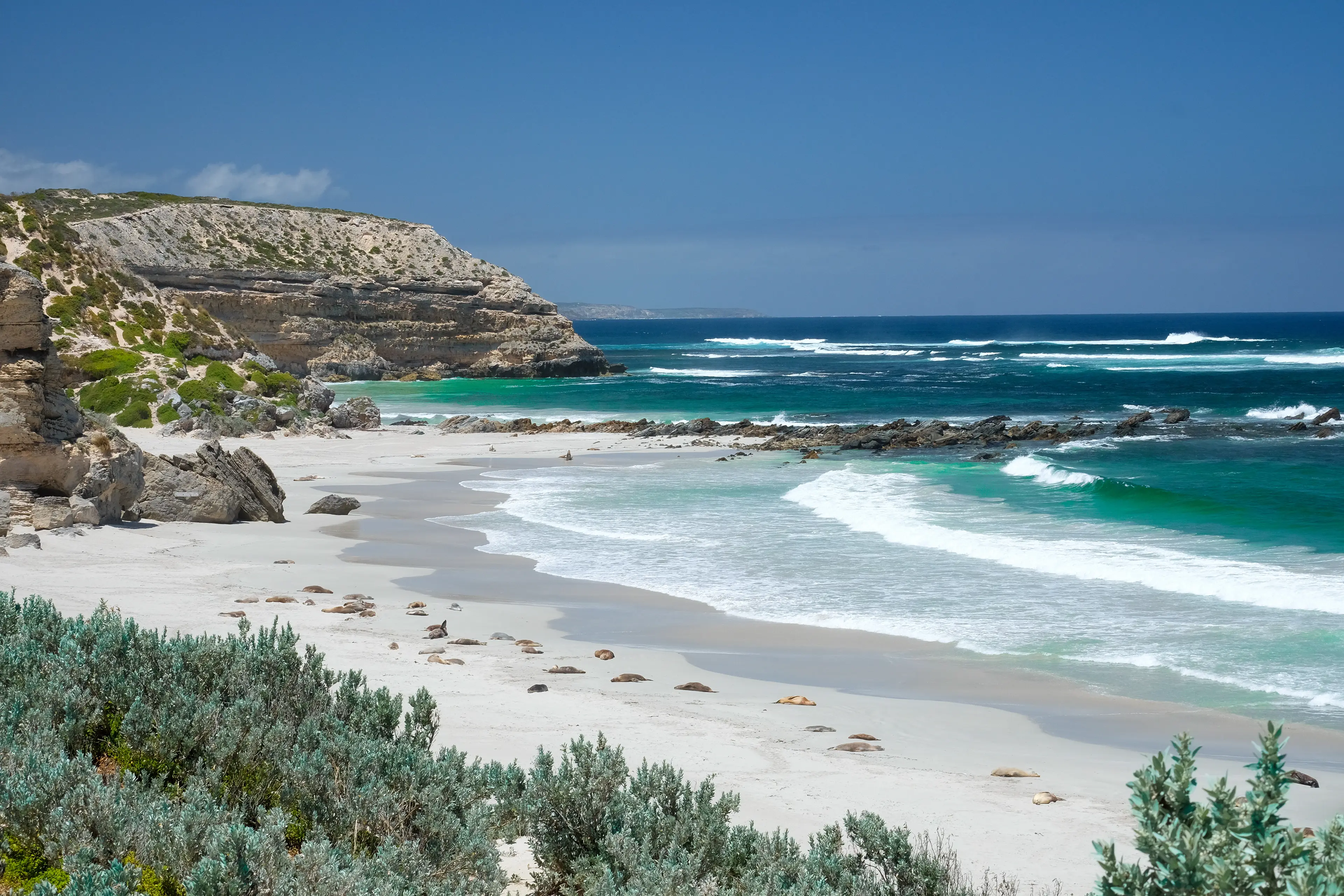 Local Beach