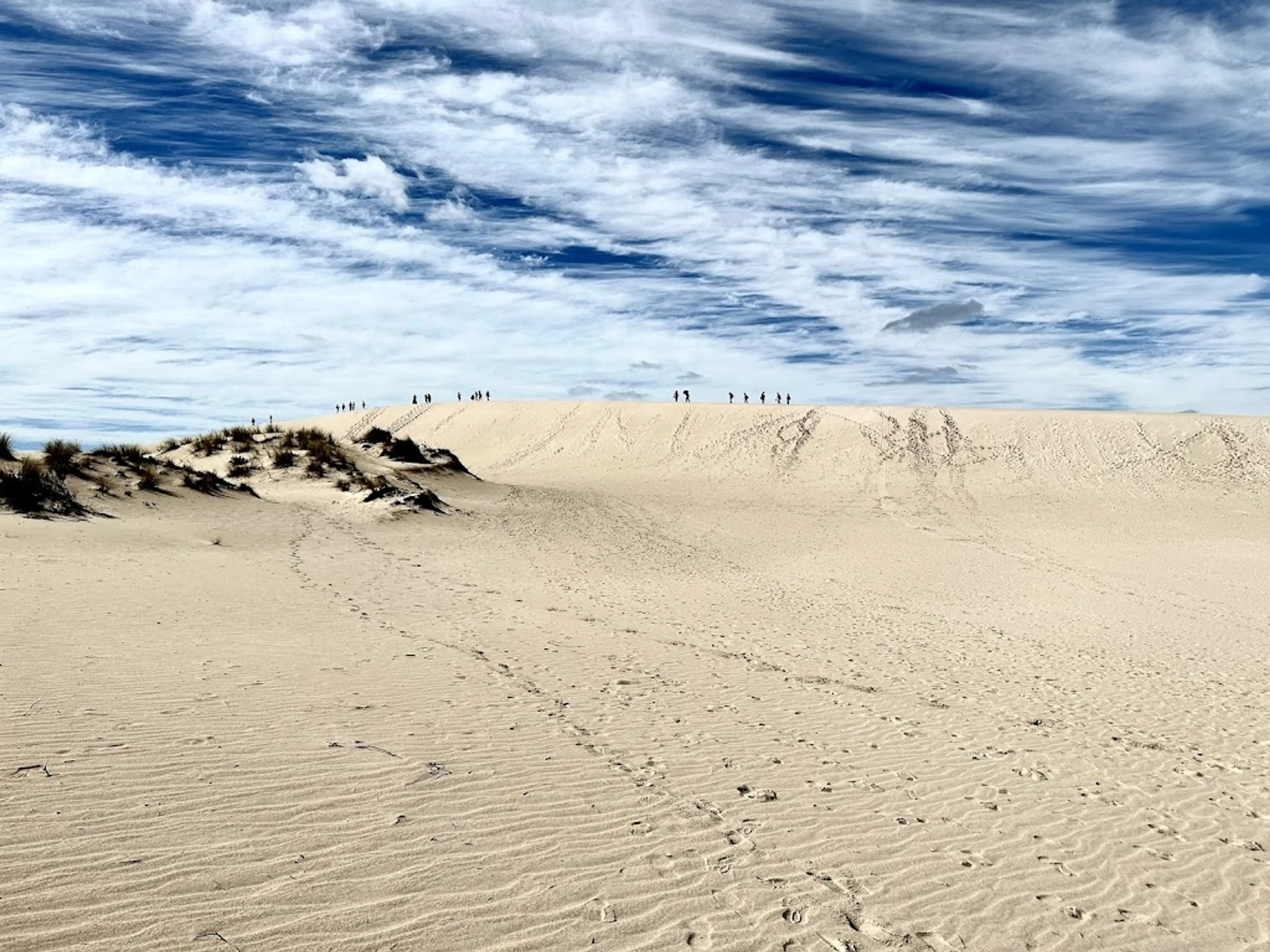 Sandboarding at Little Sahara