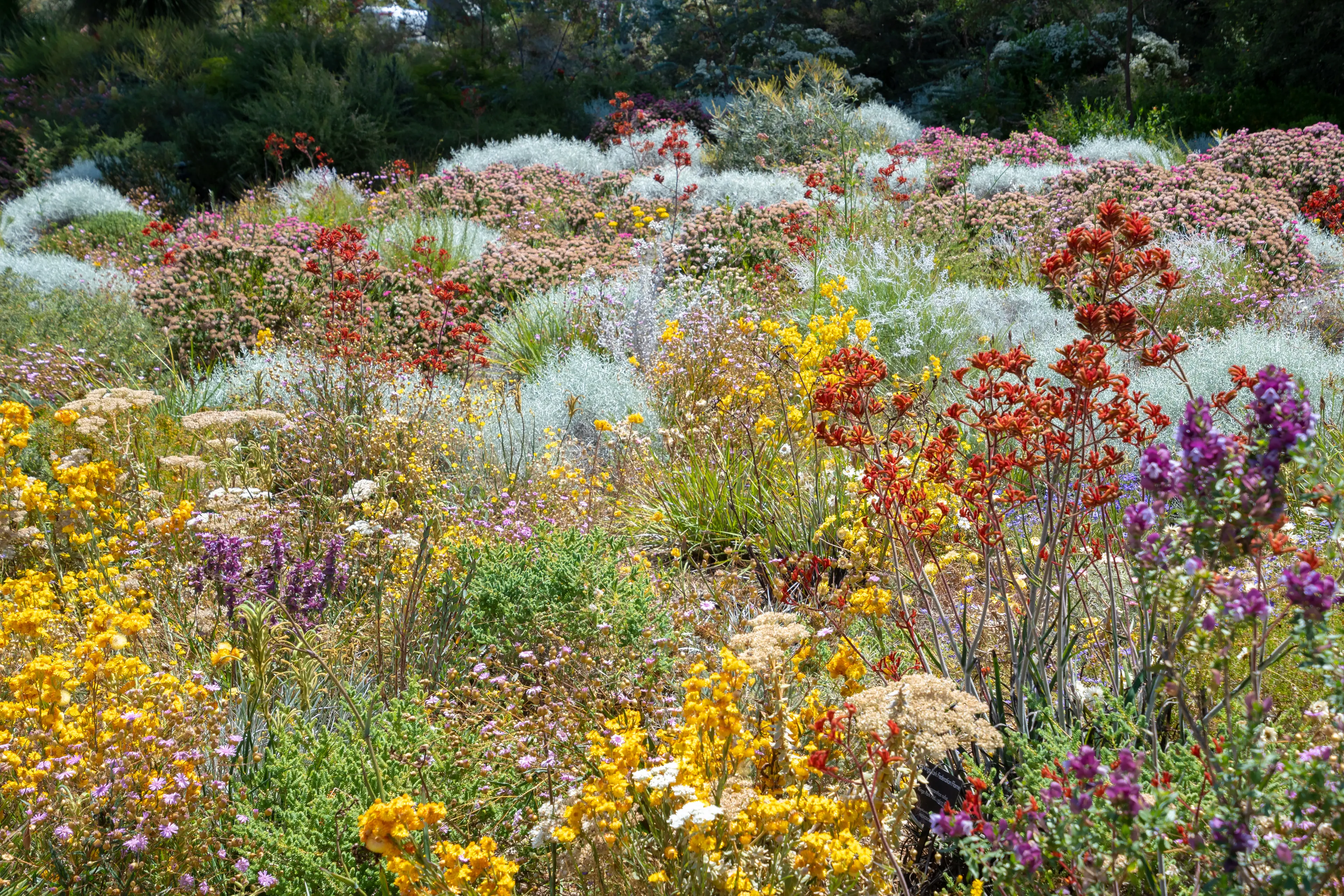 Botanical Gardens