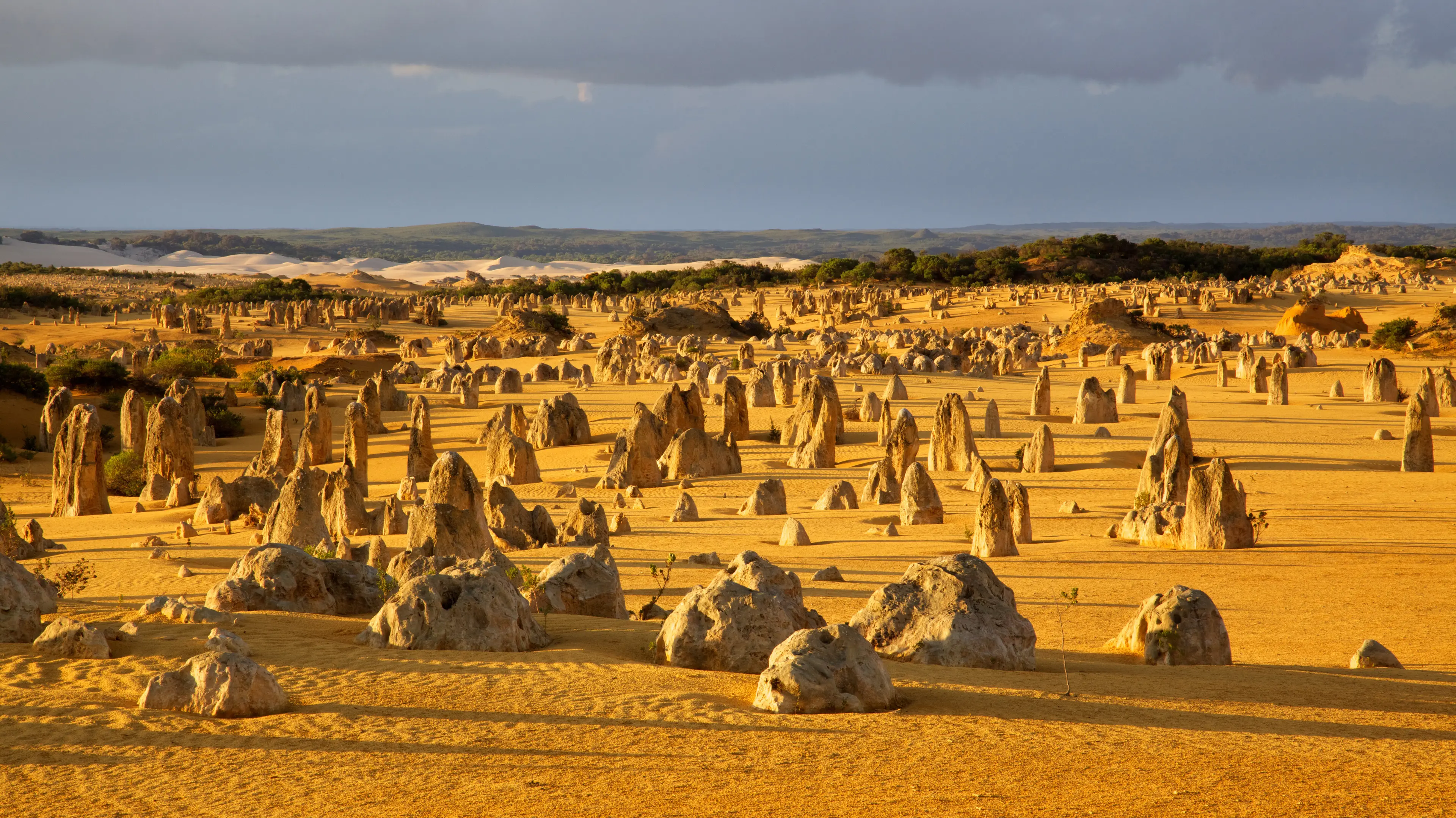 Pinnacles Desert