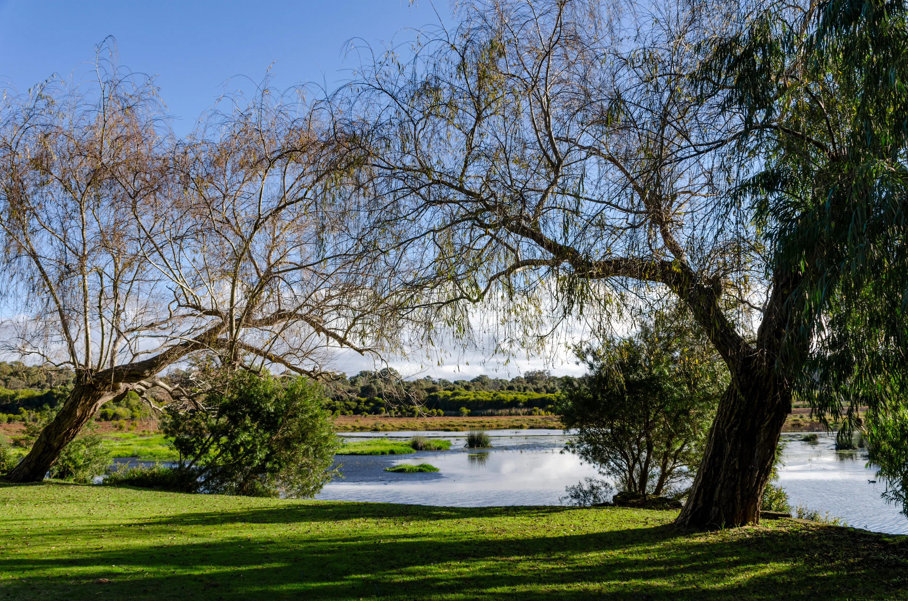 Yanchep National Park