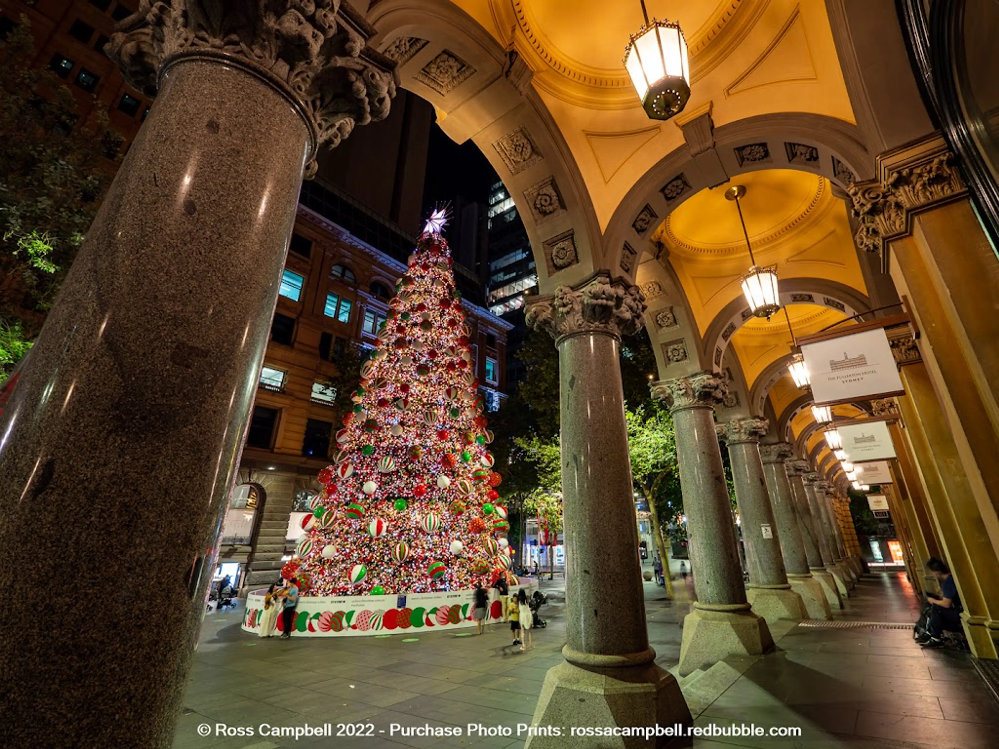 Martin Place Christmas Tree