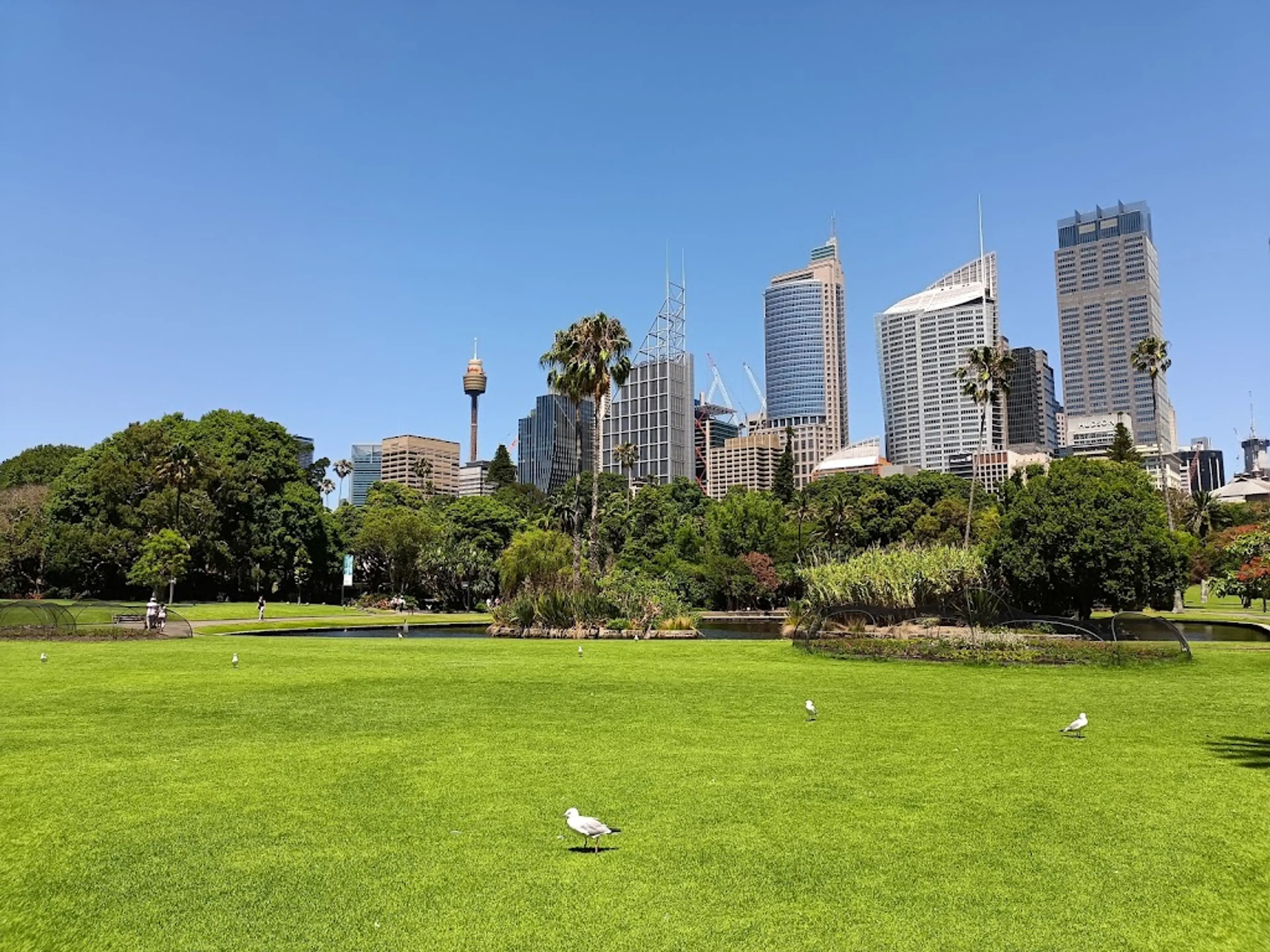 Royal Botanic Gardens