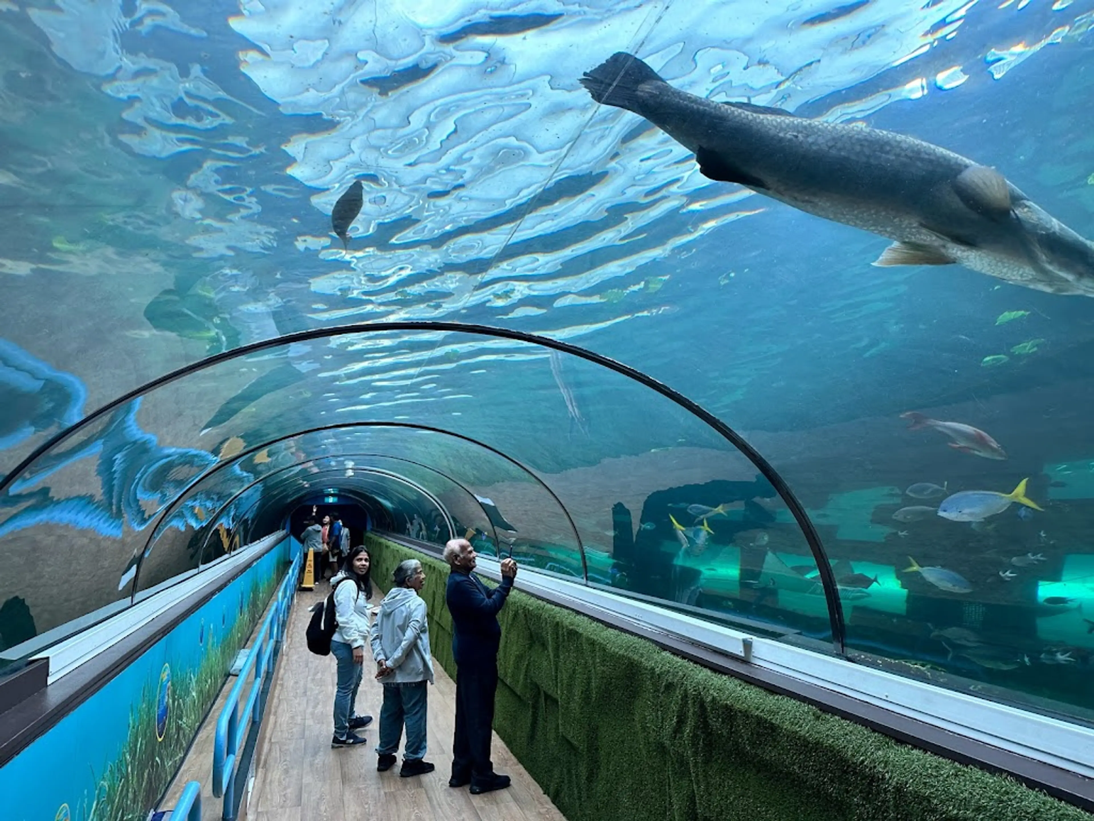 Sea Life Sydney Aquarium