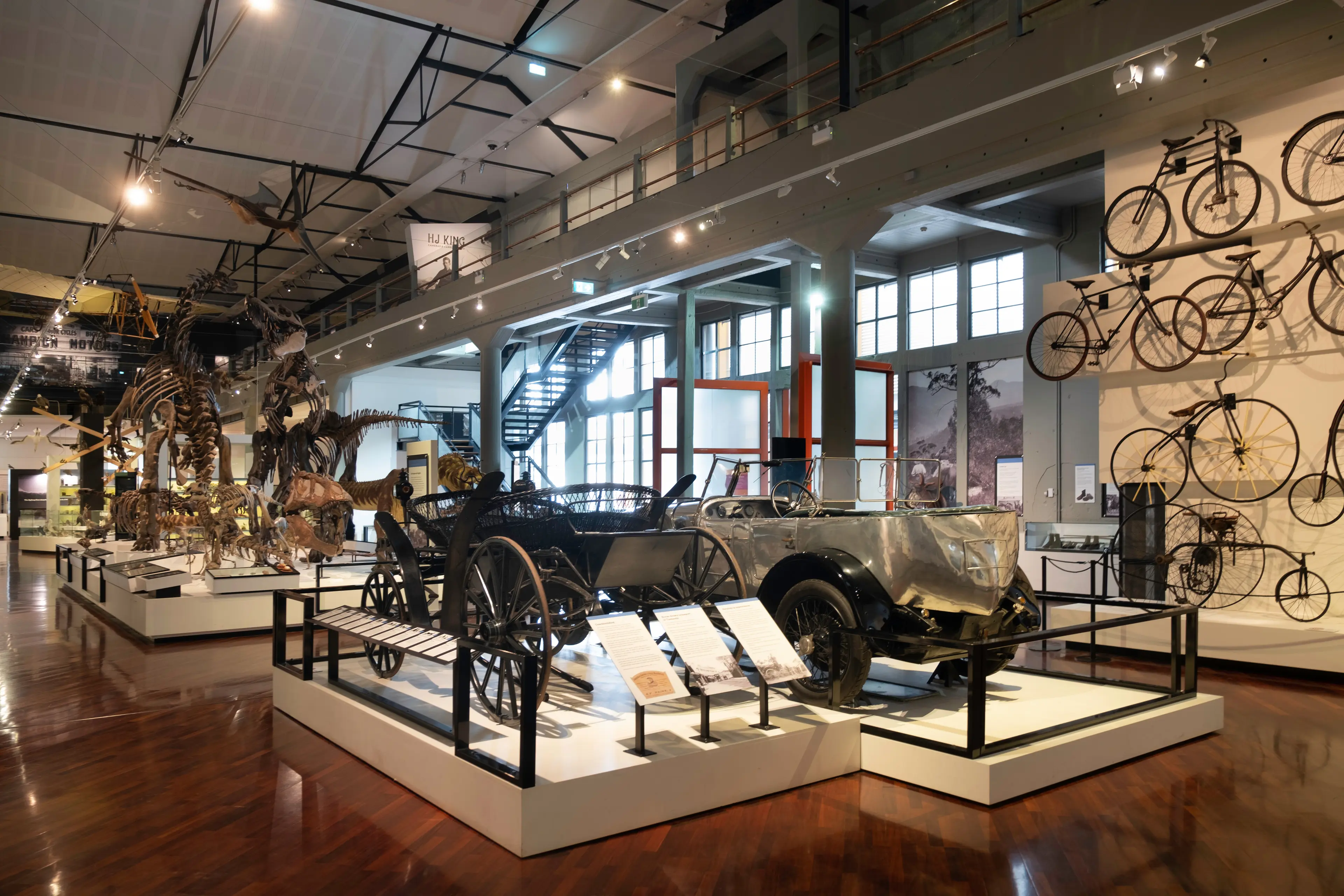 Queen Victoria Museum