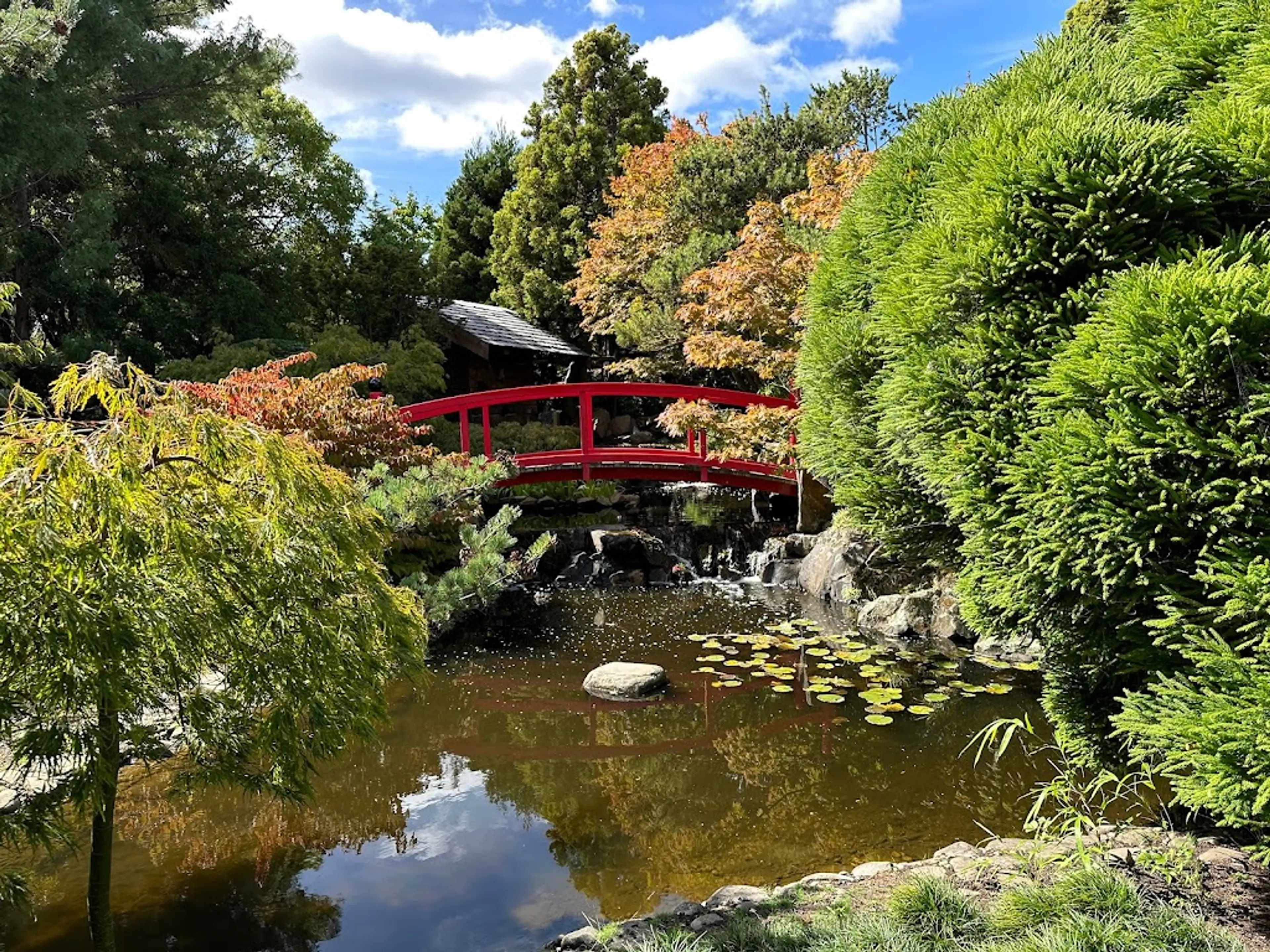 Royal Tasmanian Botanical Gardens