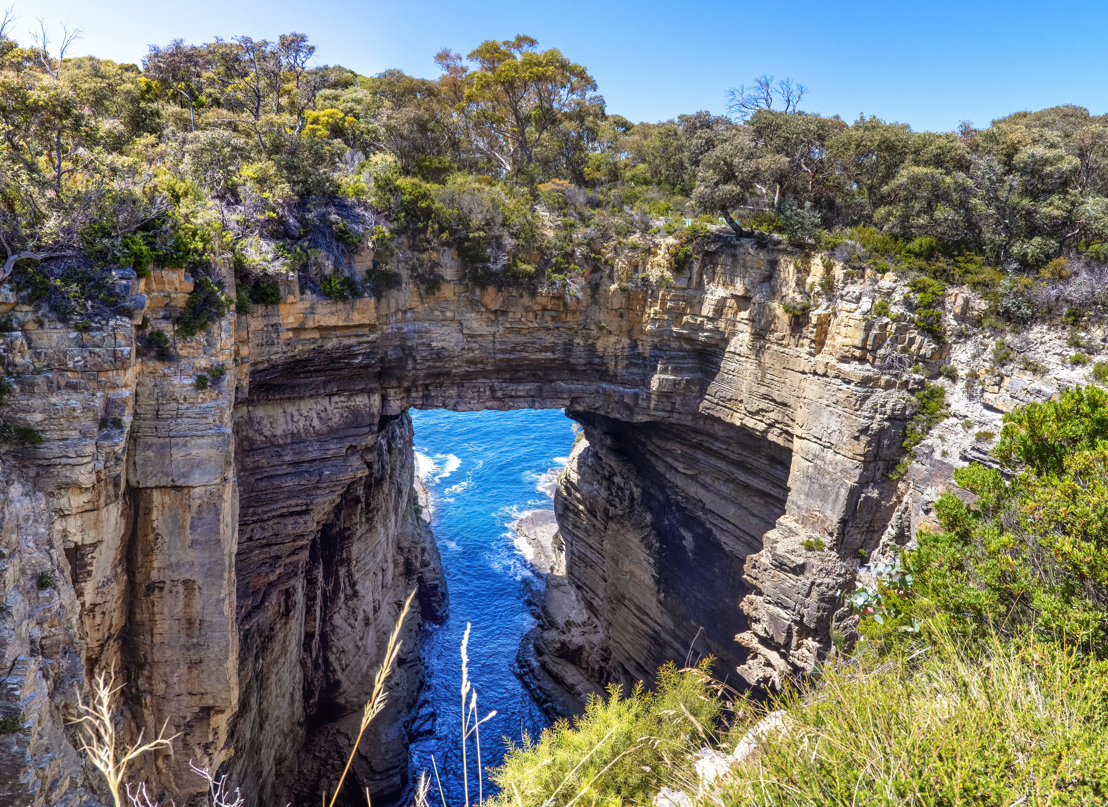 Tasman Arch