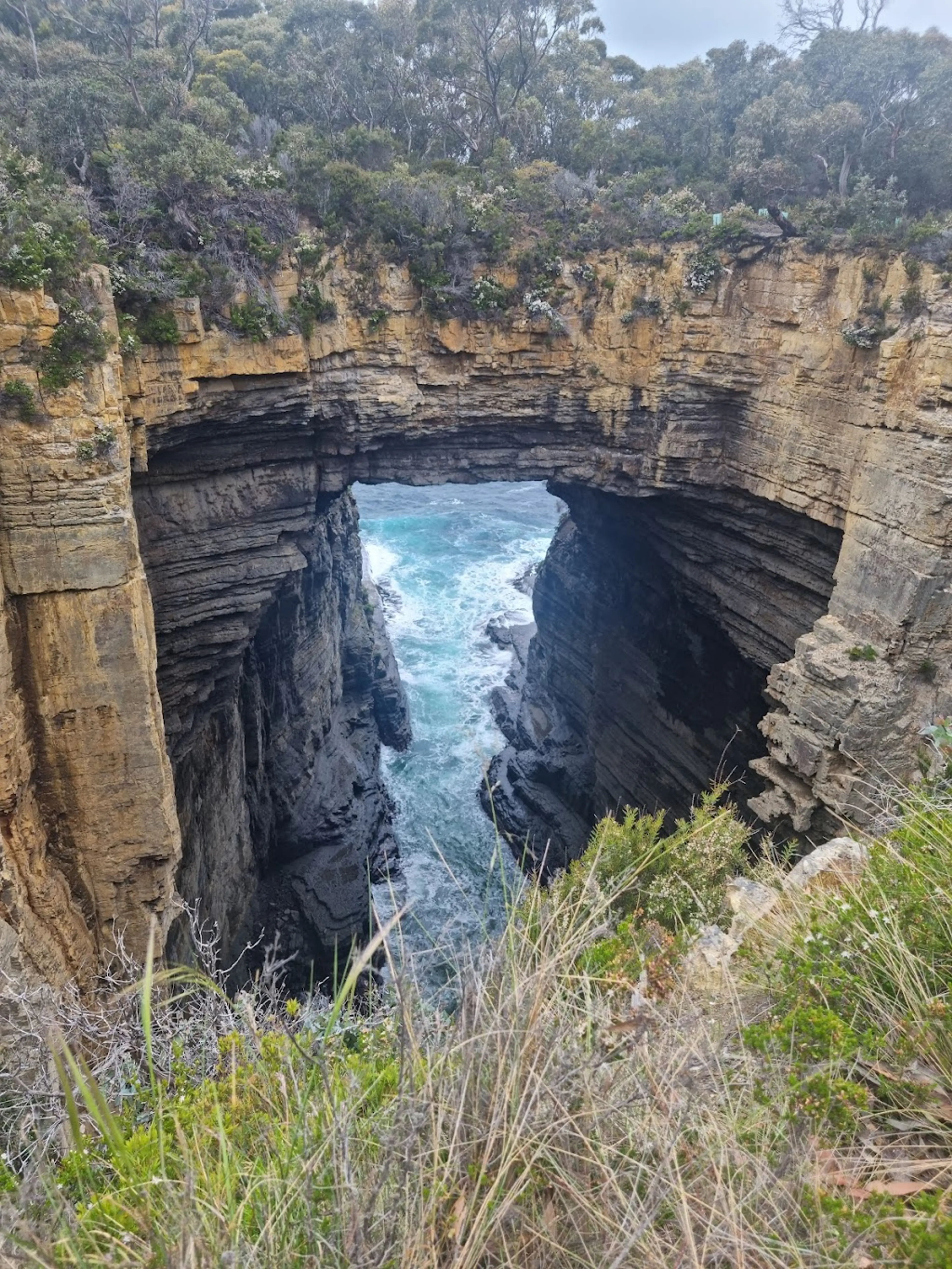 Tasman National Park