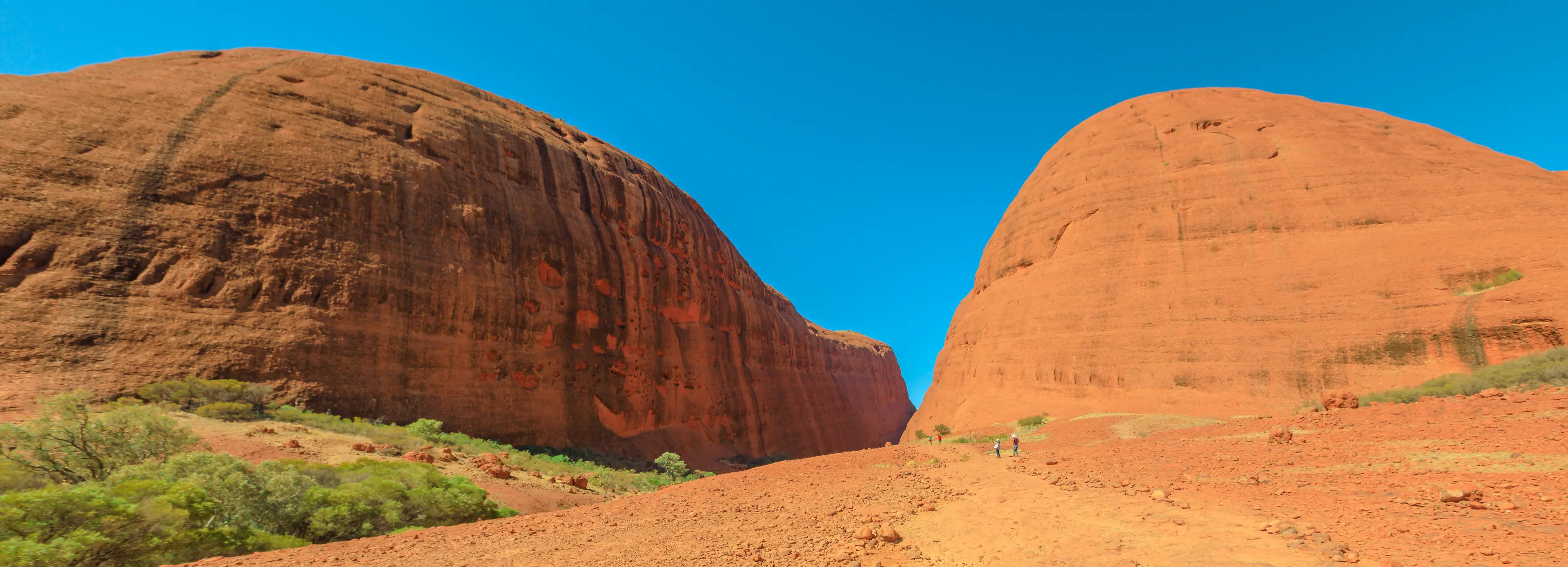 Kata Tjuta domes
