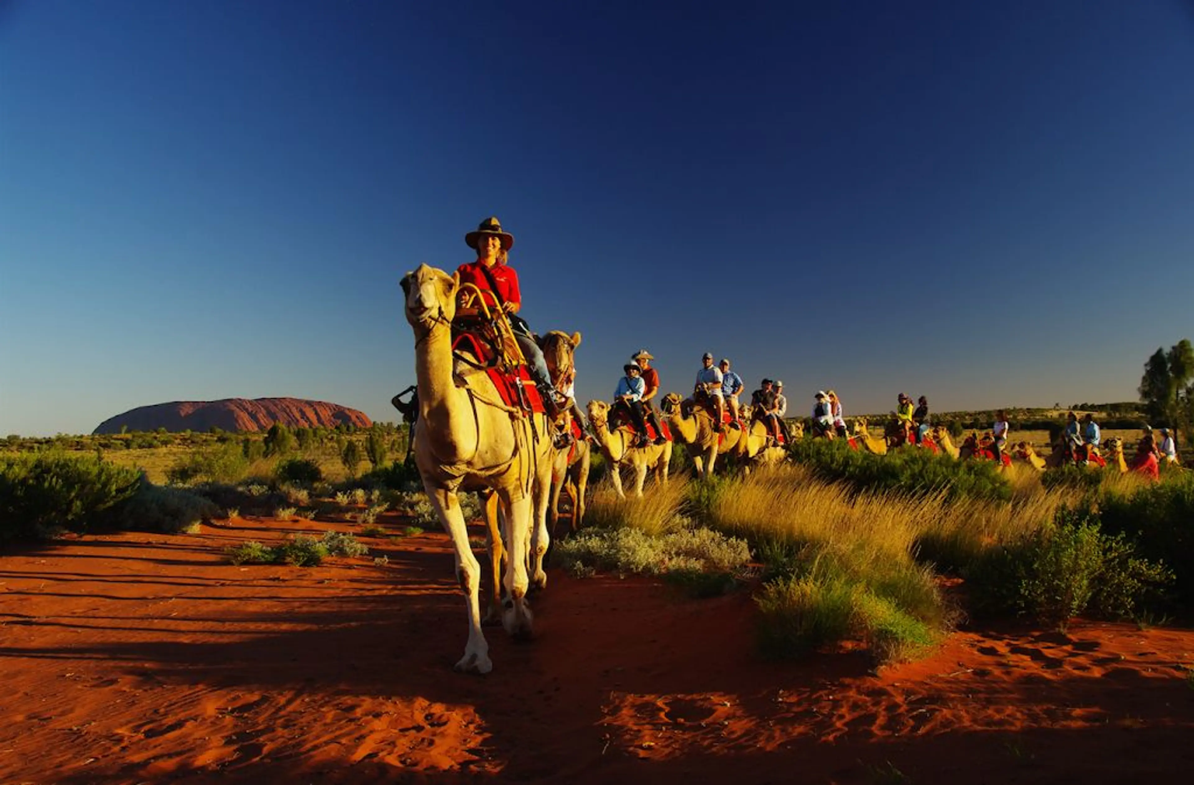 Camel Ride