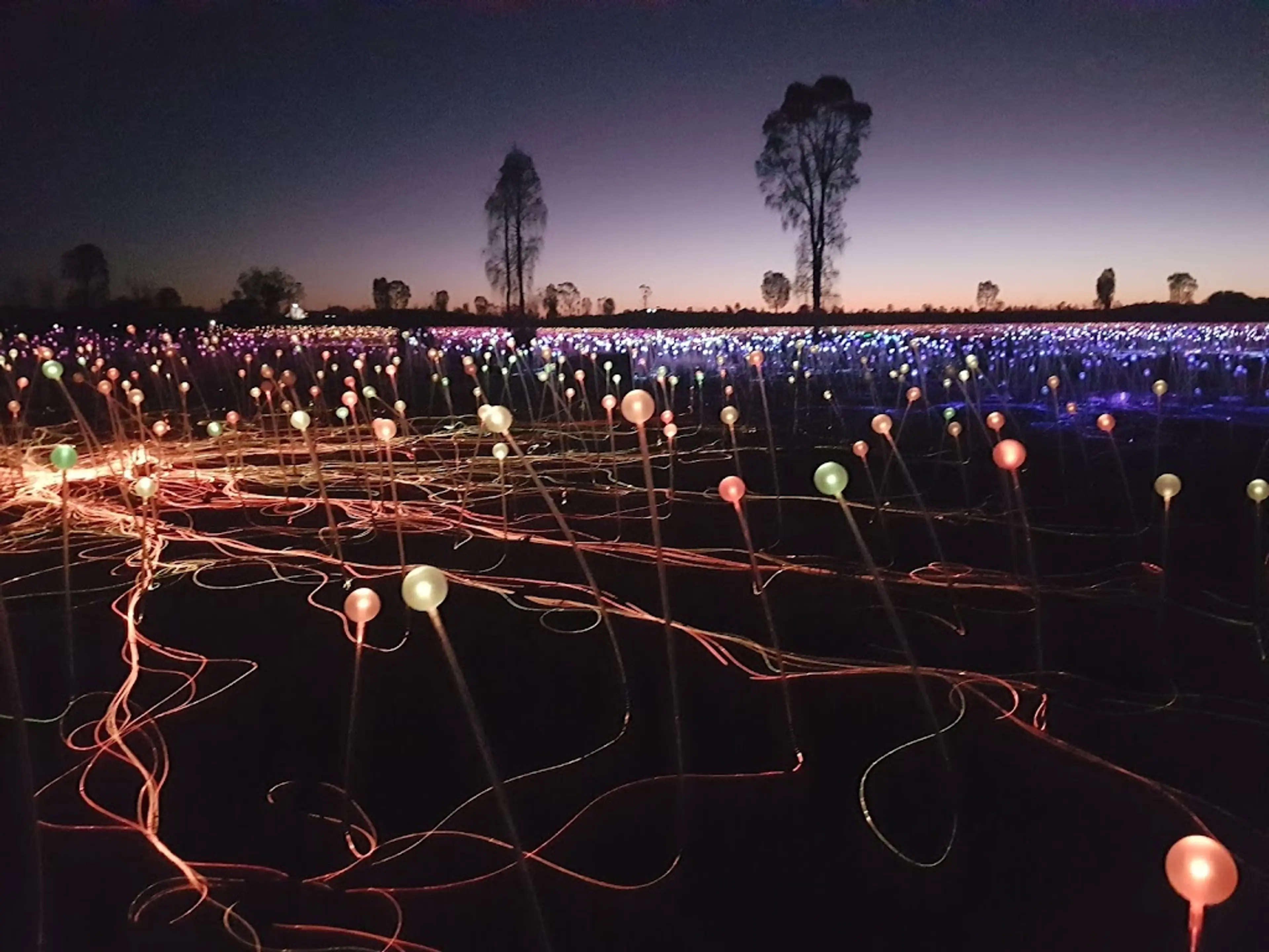 Field of Light