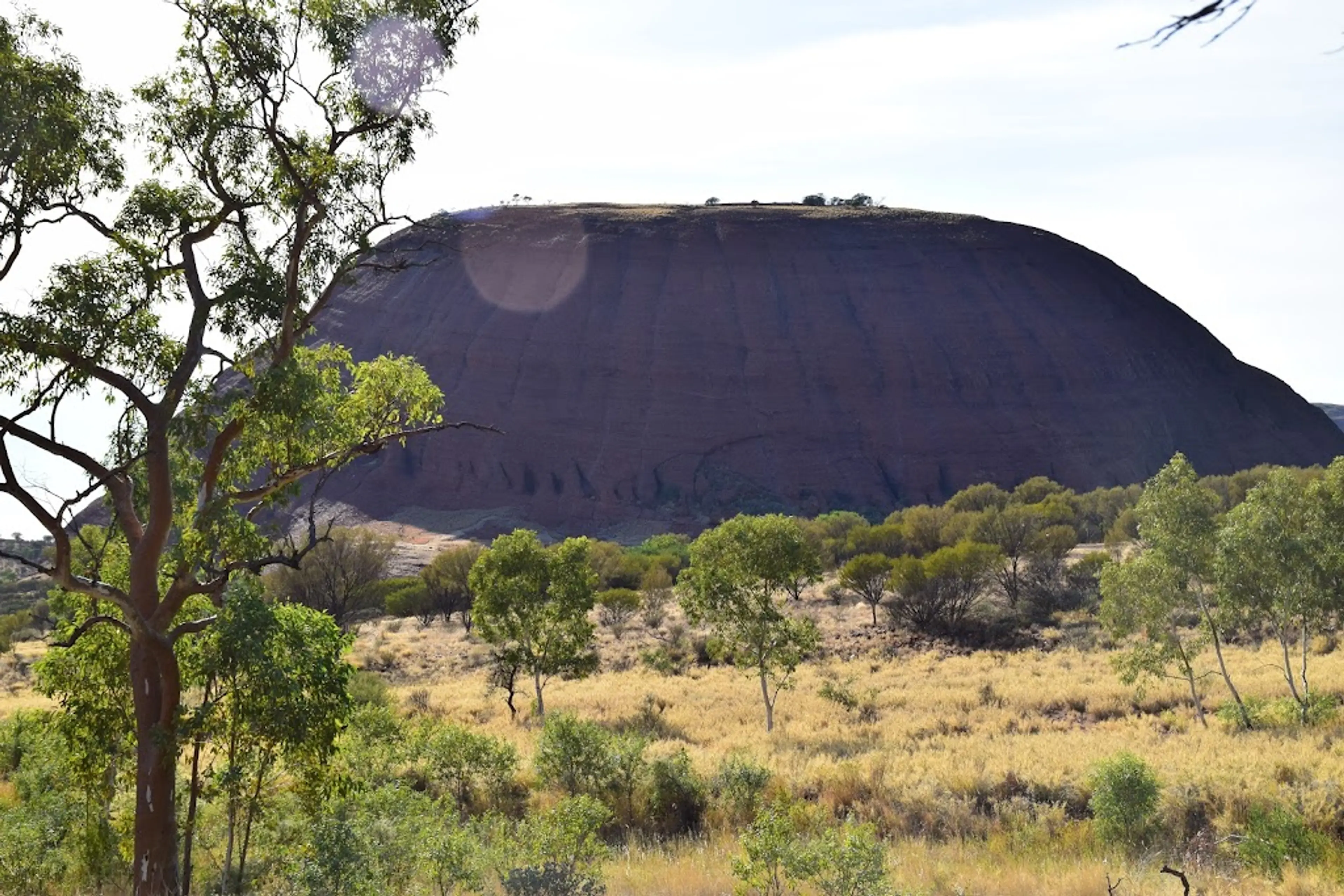 Kata Tjuta domes